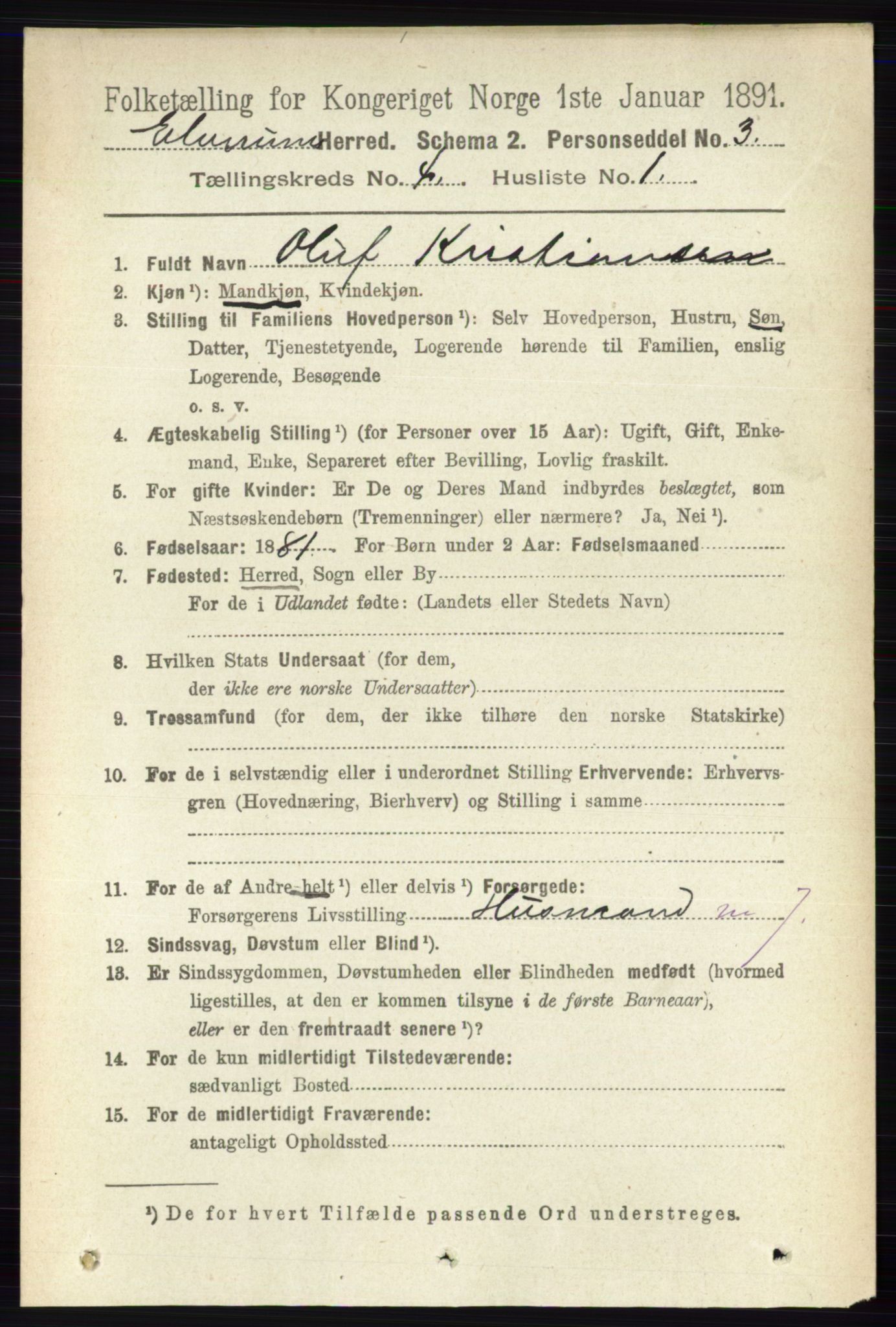 RA, 1891 census for 0427 Elverum, 1891, p. 2376