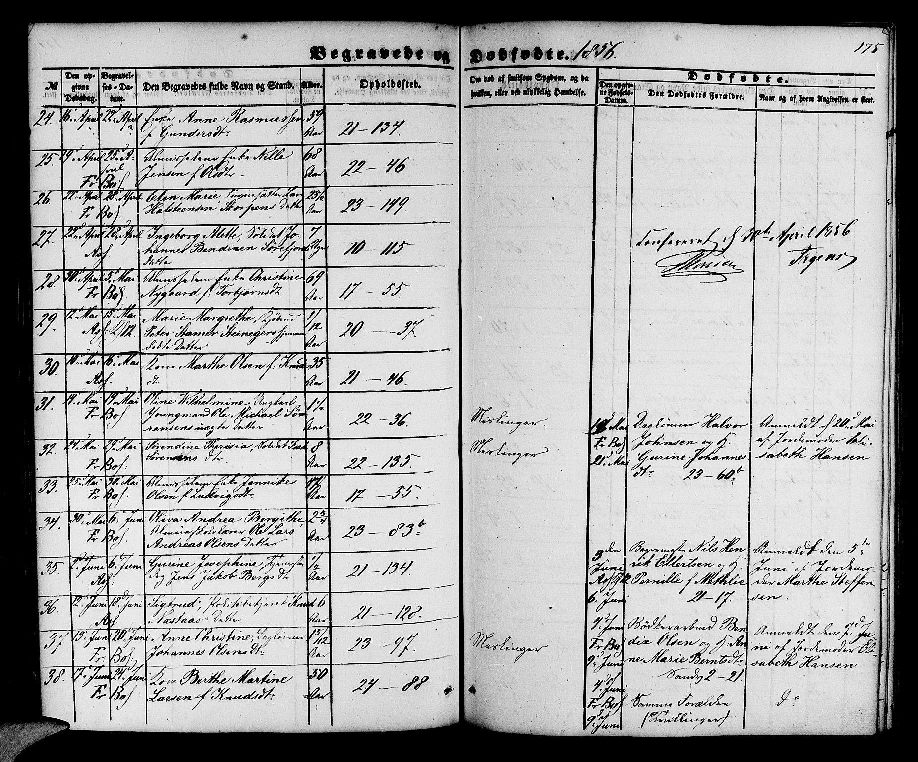 Korskirken sokneprestembete, AV/SAB-A-76101/H/Hab: Parish register (copy) no. E 2, 1851-1871, p. 175