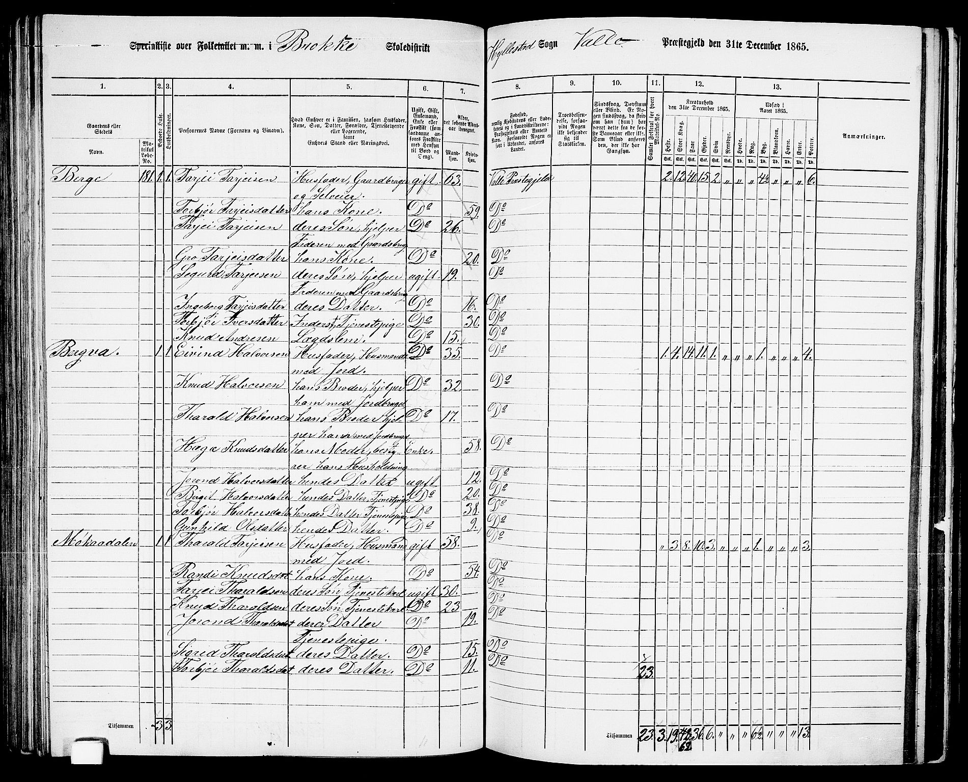 RA, 1865 census for Valle, 1865, p. 107
