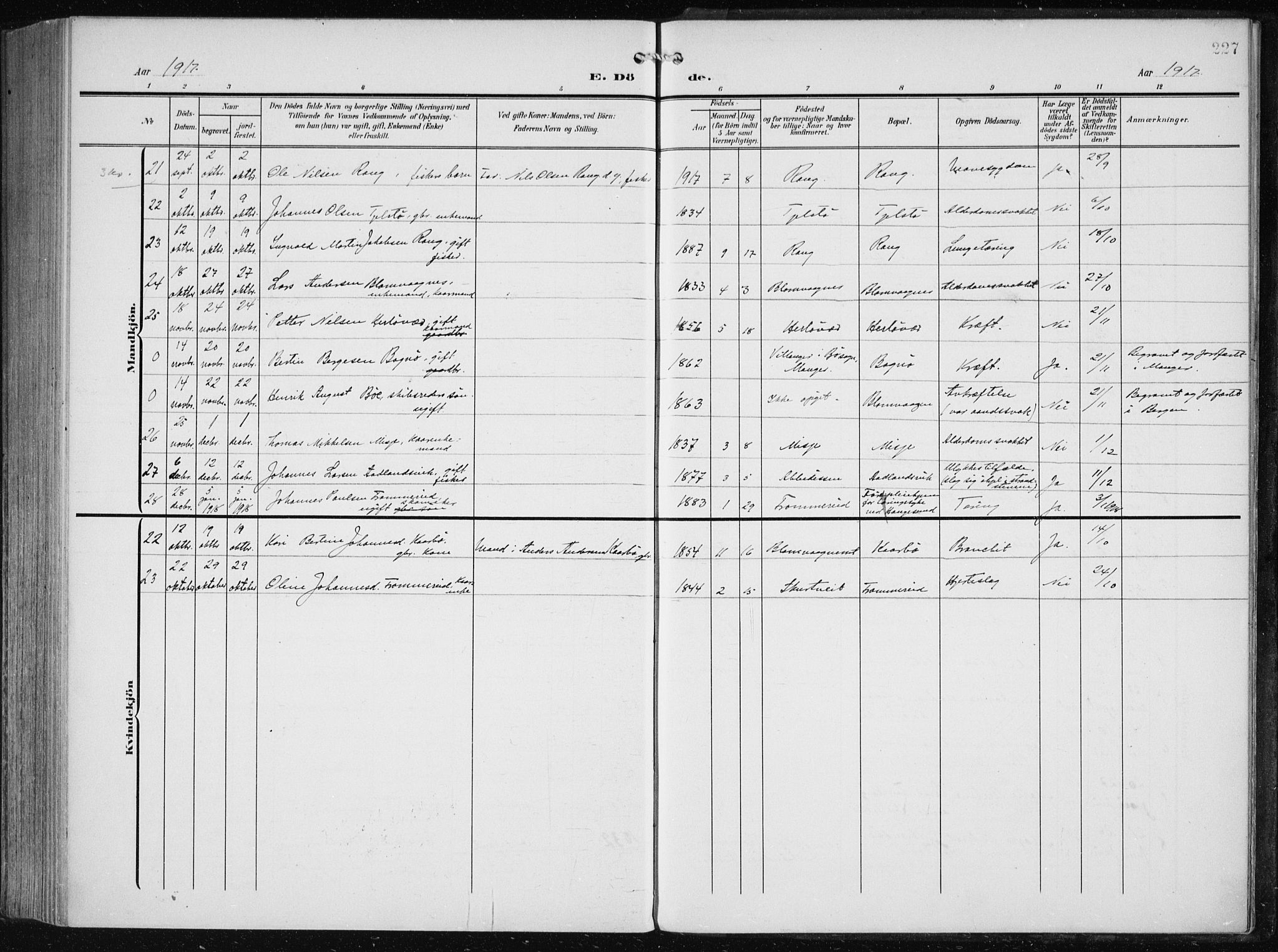 Herdla Sokneprestembete, AV/SAB-A-75701/H/Haa: Parish register (official) no. A 5, 1905-1918, p. 227