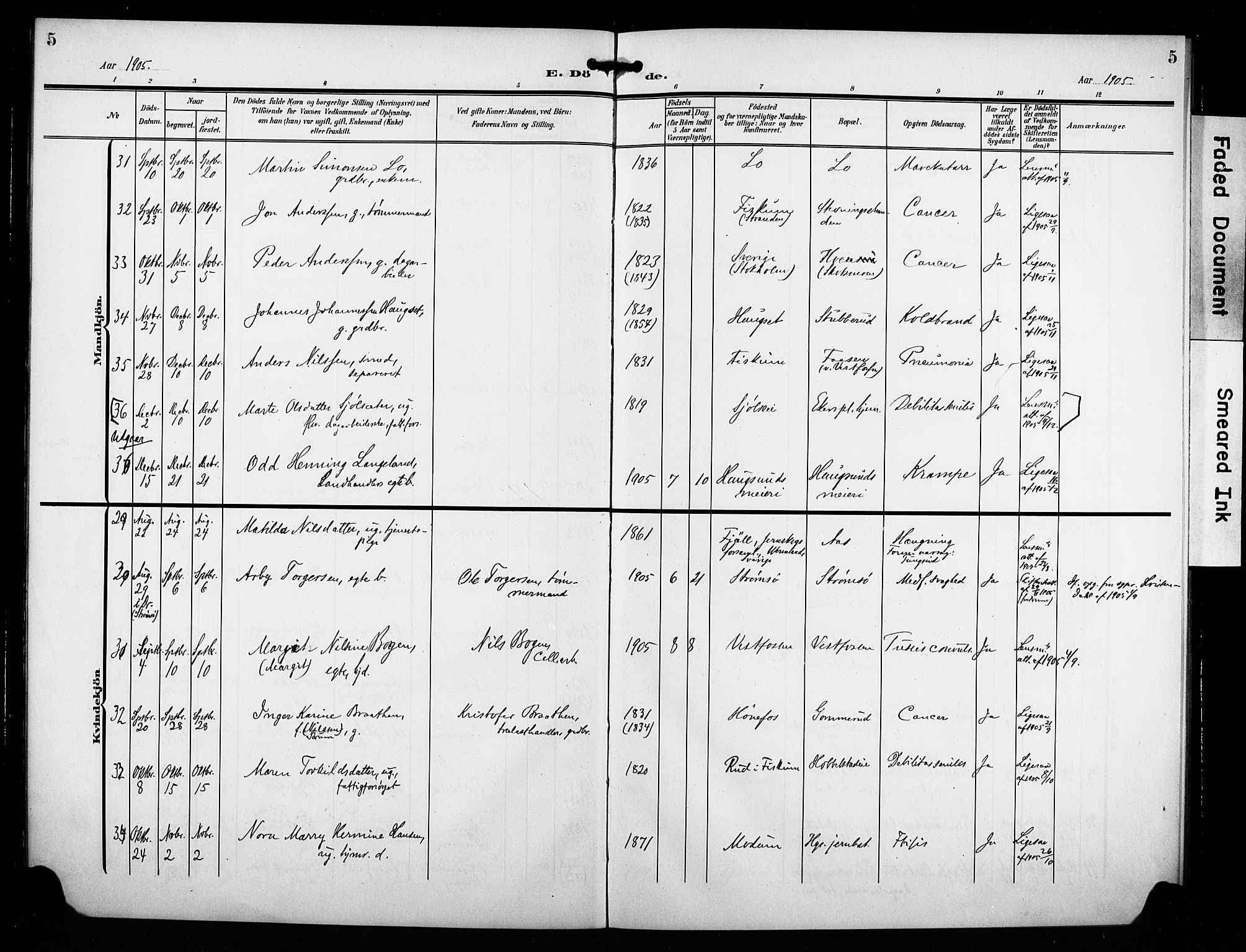 Eiker kirkebøker, AV/SAKO-A-4/F/Fb/L0004: Parish register (official) no. II 4, 1905-1914, p. 5