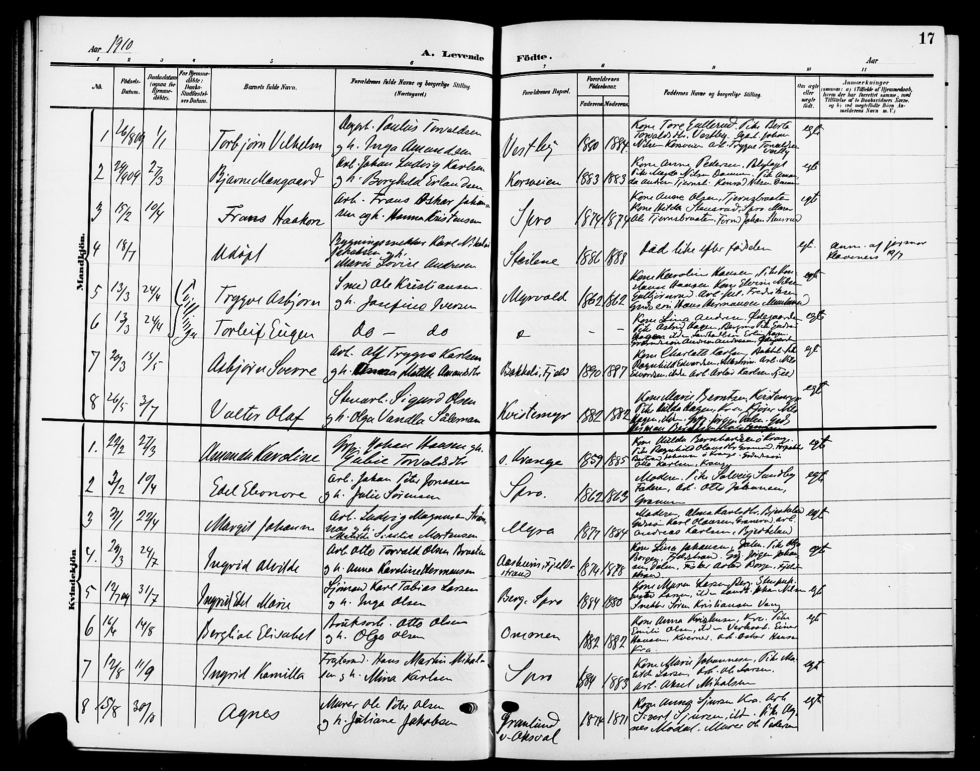 Nesodden prestekontor Kirkebøker, AV/SAO-A-10013/G/Ga/L0002: Parish register (copy) no. I 2, 1905-1924, p. 17