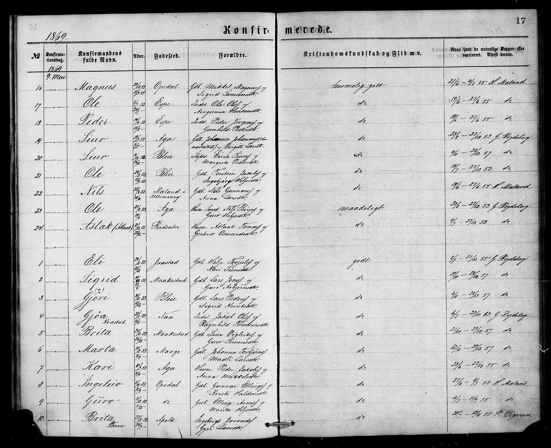 Ullensvang sokneprestembete, AV/SAB-A-78701/H/Haa: Parish register (official) no. A 13, 1867-1879, p. 17