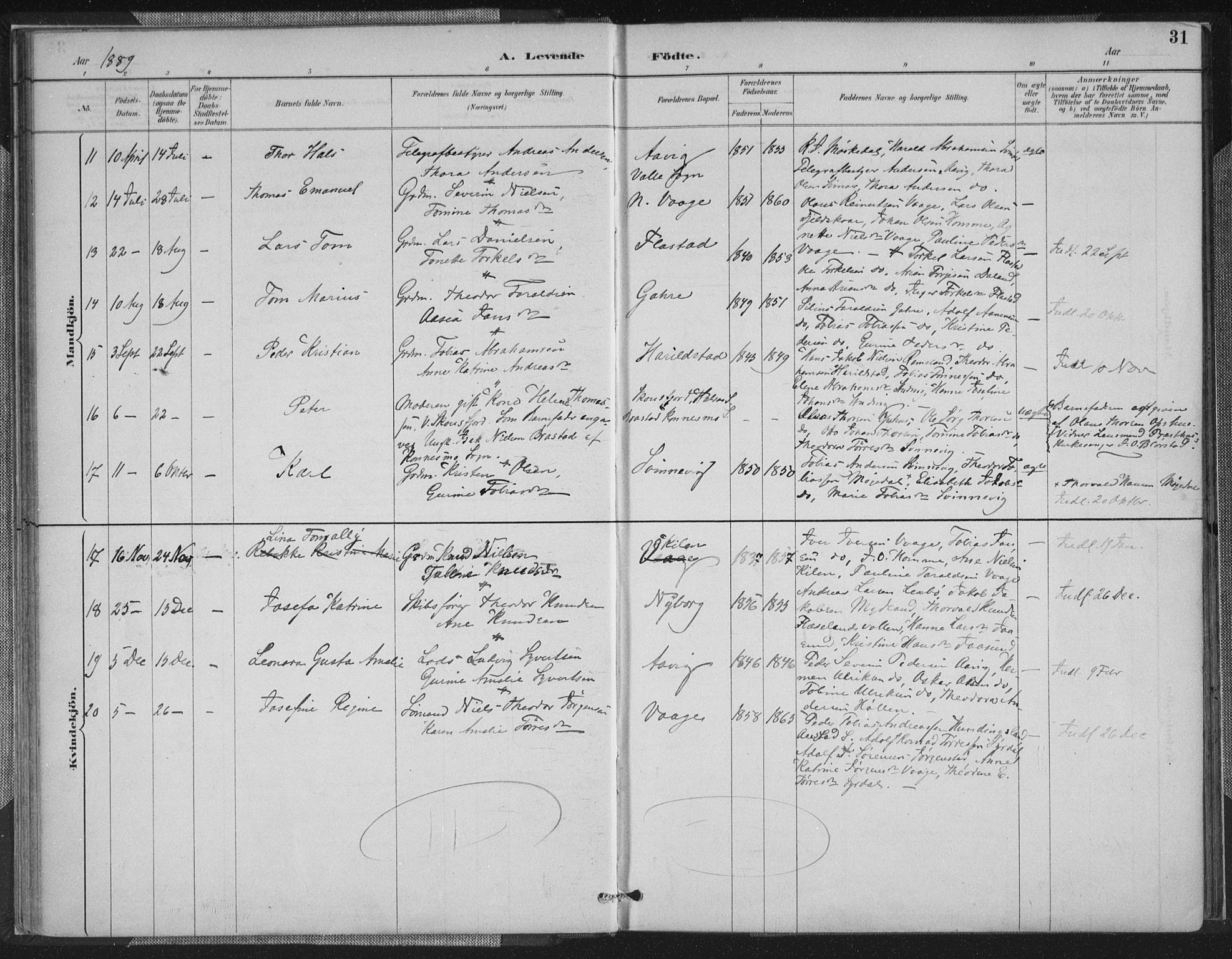 Sør-Audnedal sokneprestkontor, AV/SAK-1111-0039/F/Fa/Faa/L0004: Parish register (official) no. A 4, 1884-1909, p. 31