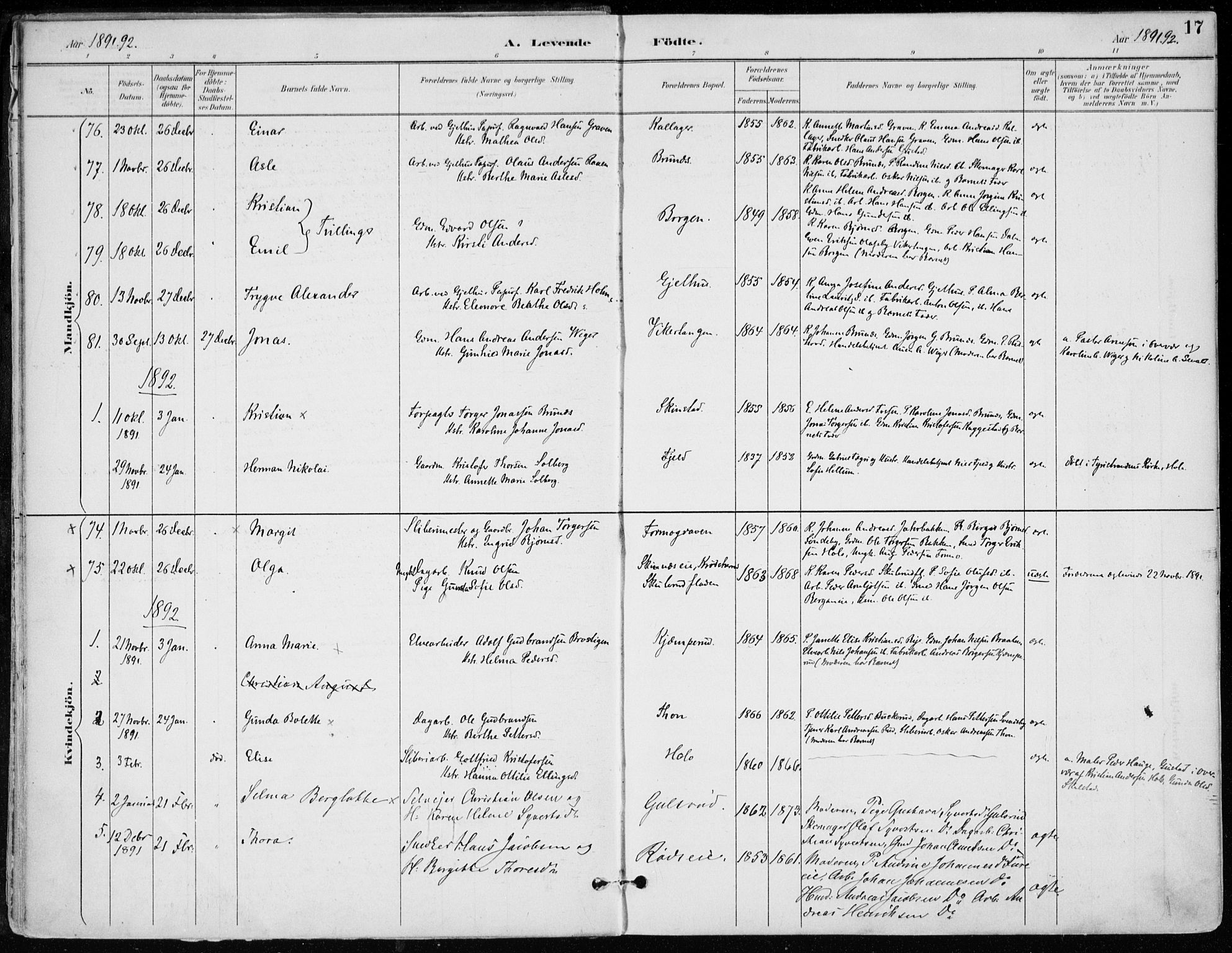 Modum kirkebøker, AV/SAKO-A-234/F/Fa/L0012: Parish register (official) no. 12, 1890-1898, p. 17