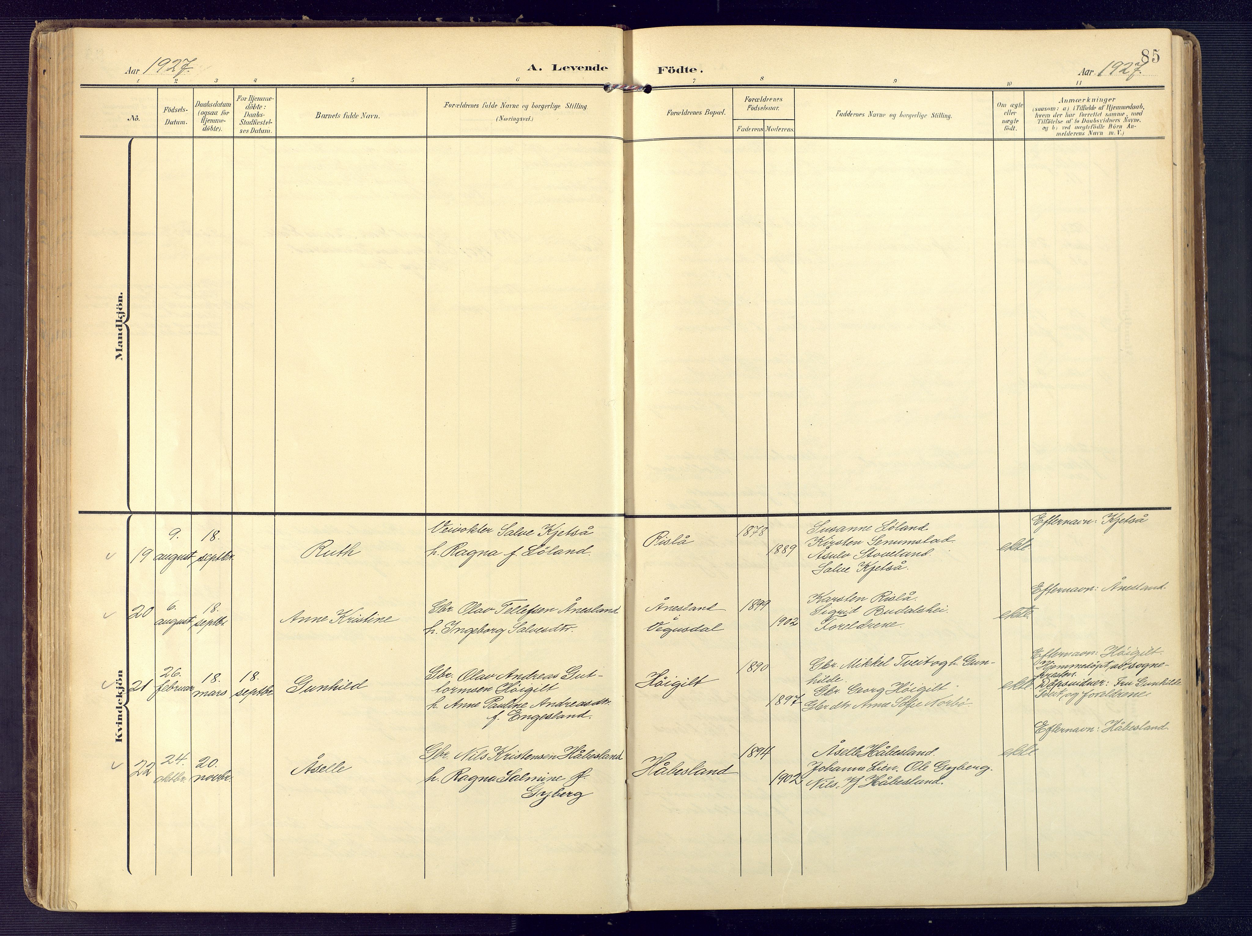 Birkenes sokneprestkontor, SAK/1111-0004/F/Fa/L0006: Parish register (official) no. A 6, 1908-1932, p. 85