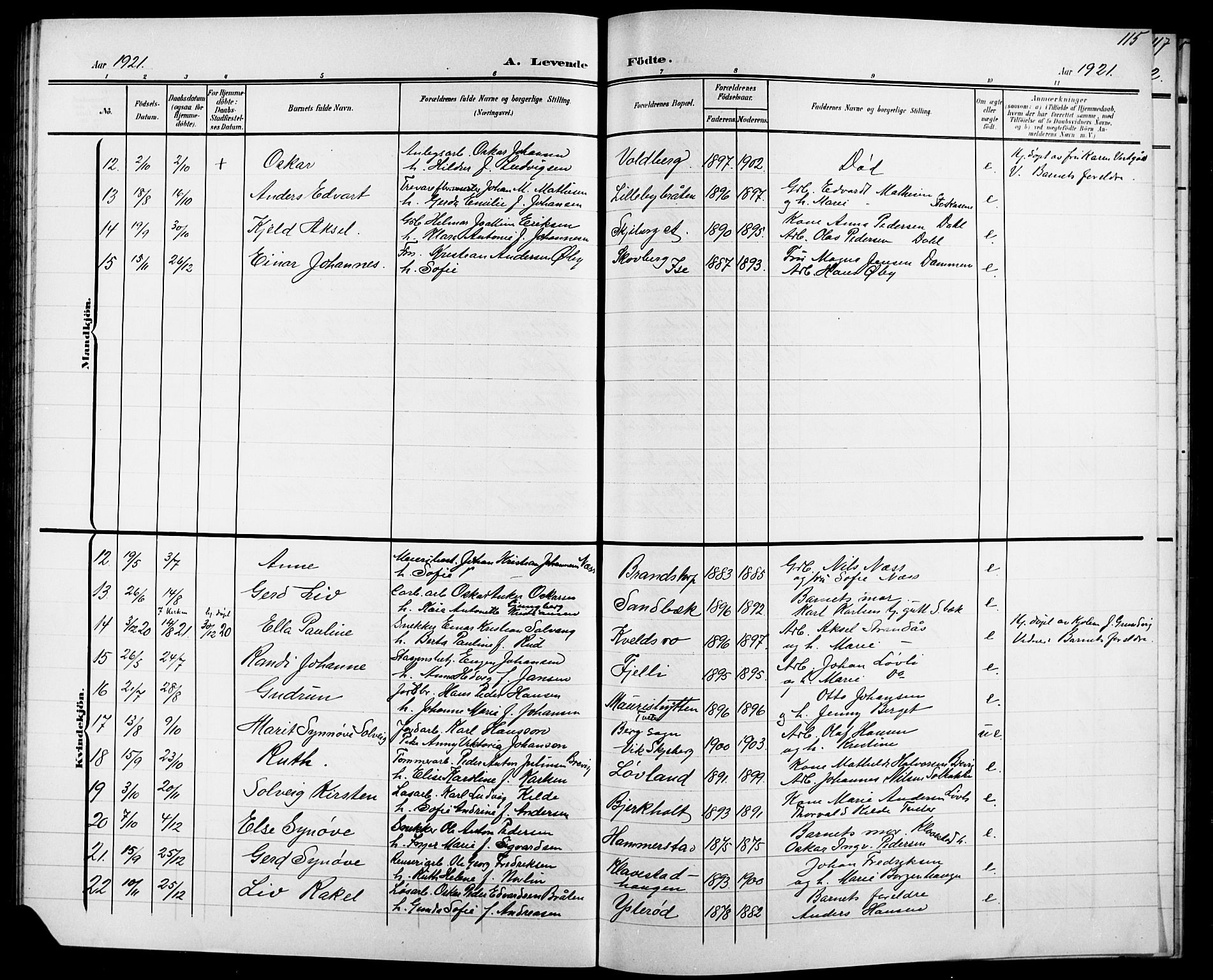 Skjeberg prestekontor Kirkebøker, SAO/A-10923/G/Ga/L0002: Parish register (copy) no. I 2, 1901-1924, p. 115