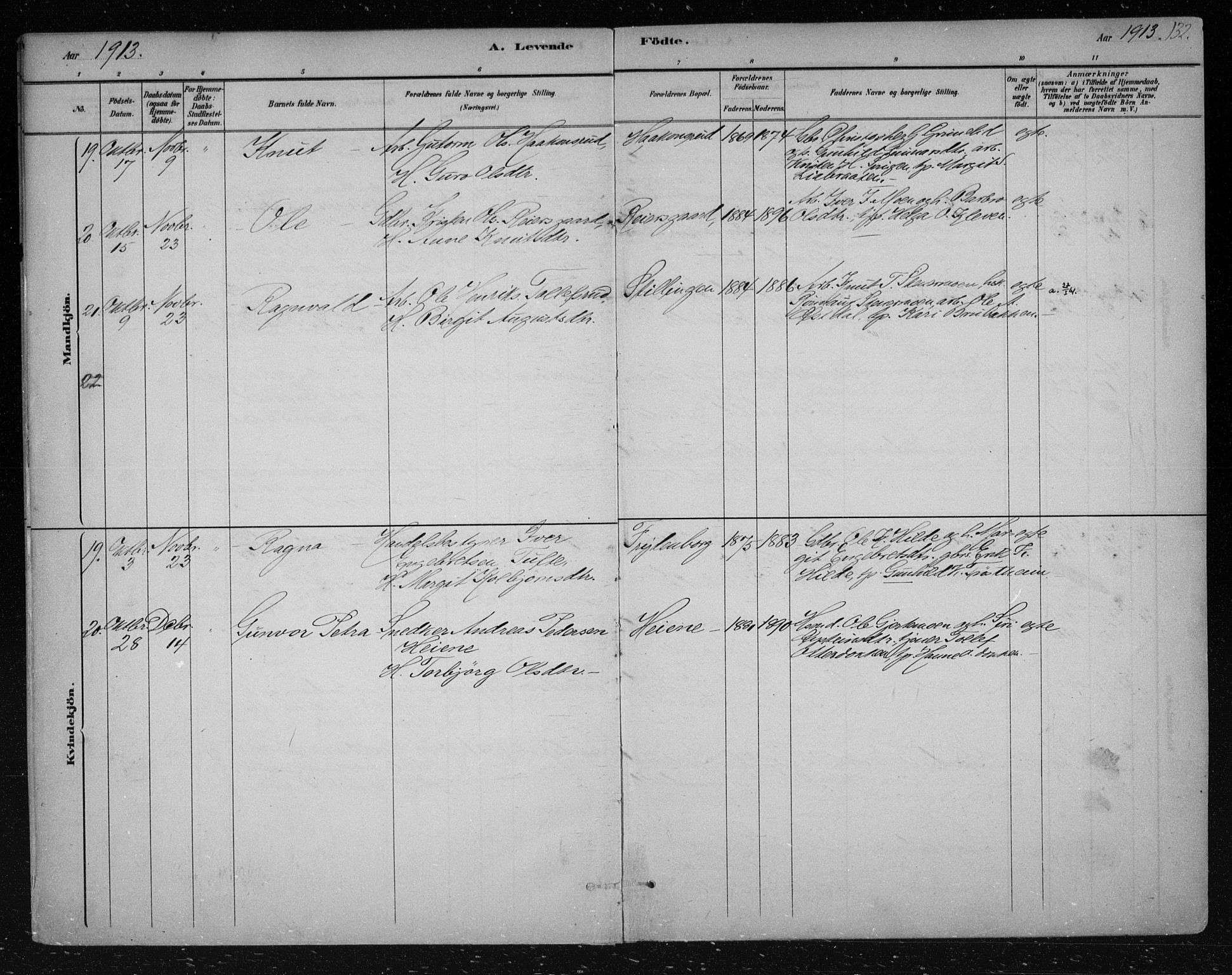 Nes kirkebøker, AV/SAKO-A-236/F/Fa/L0012: Parish register (official) no. 12, 1881-1917, p. 132