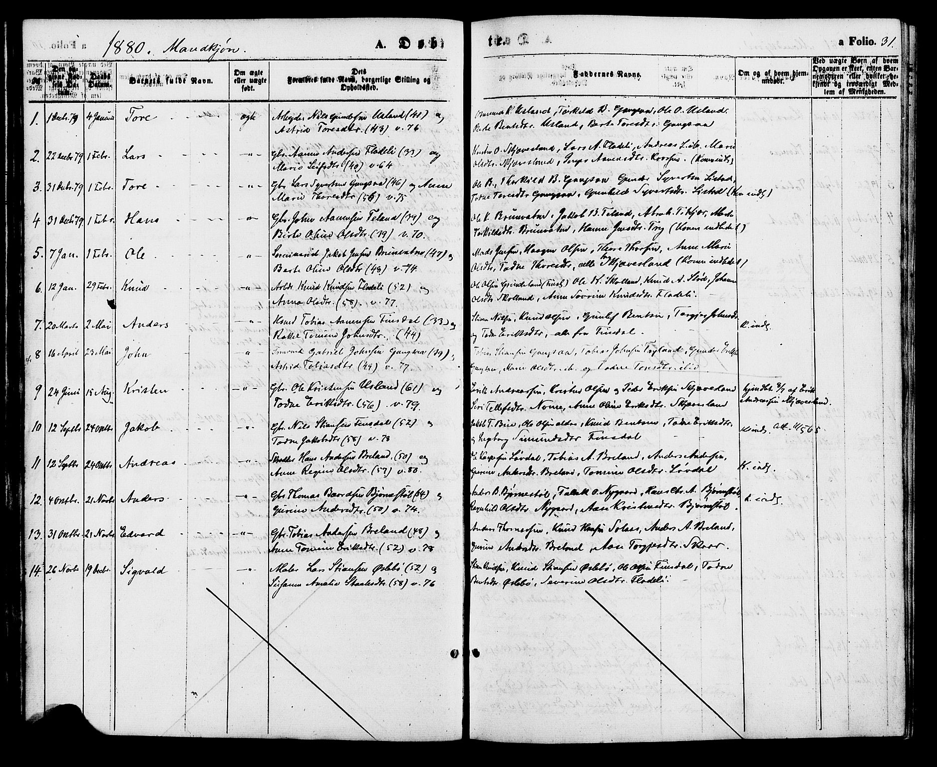 Holum sokneprestkontor, AV/SAK-1111-0022/F/Fa/Fac/L0003: Parish register (official) no. A 3, 1860-1883, p. 31