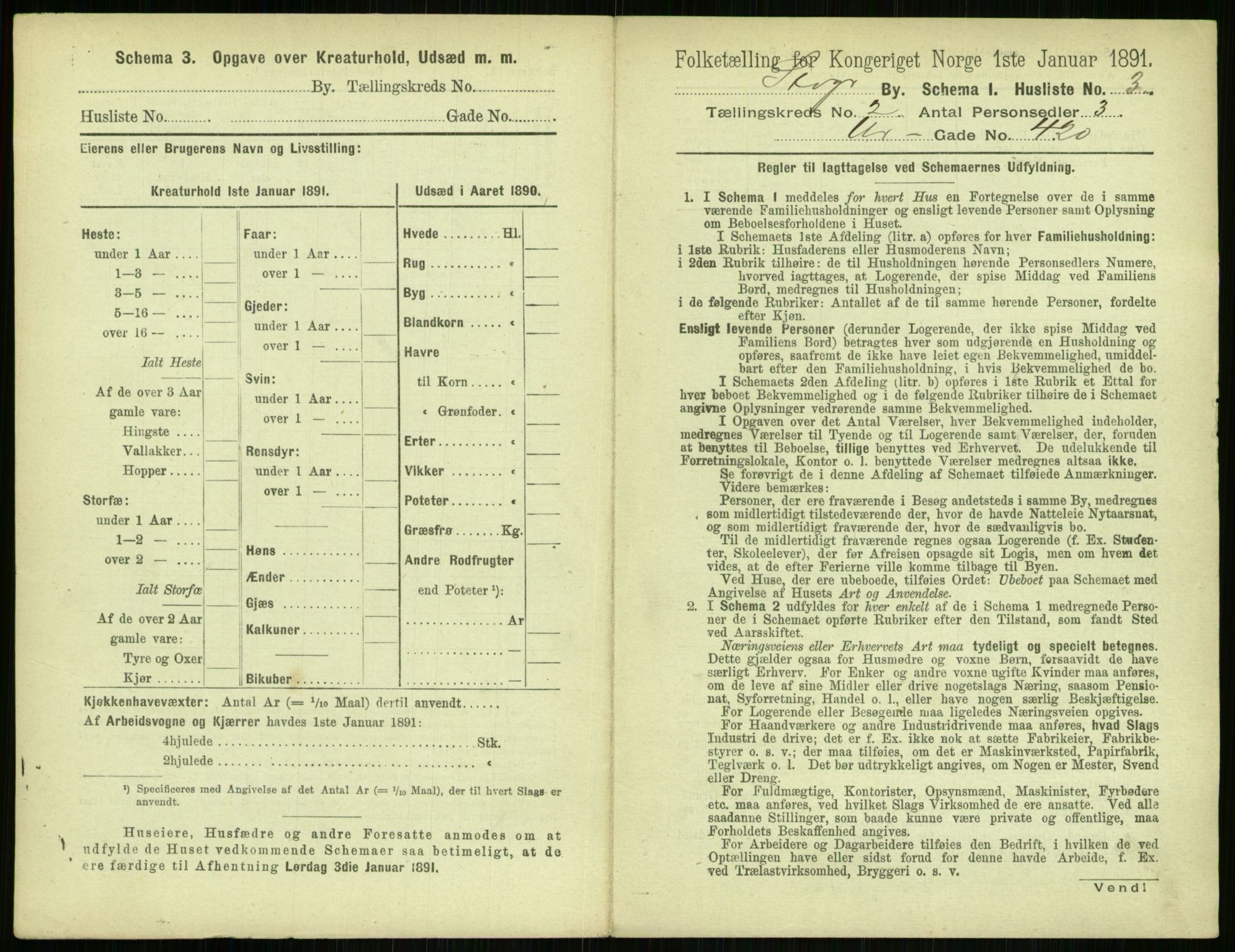 RA, 1891 census for 1103 Stavanger, 1891, p. 271