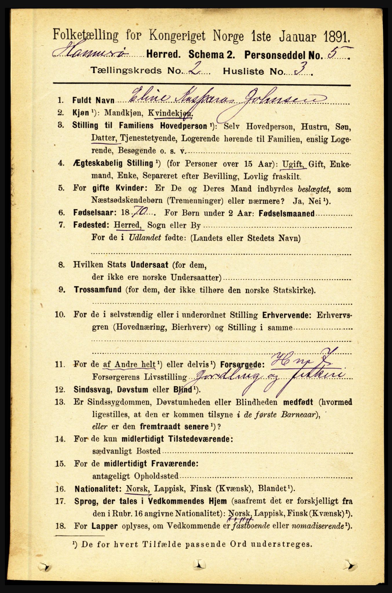 RA, 1891 census for 1849 Hamarøy, 1891, p. 594