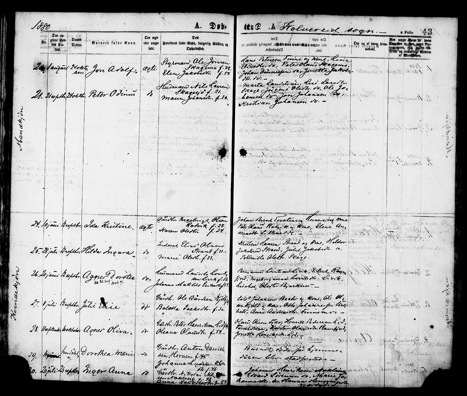 Ministerialprotokoller, klokkerbøker og fødselsregistre - Nord-Trøndelag, SAT/A-1458/780/L0642: Parish register (official) no. 780A07 /1, 1874-1885, p. 43