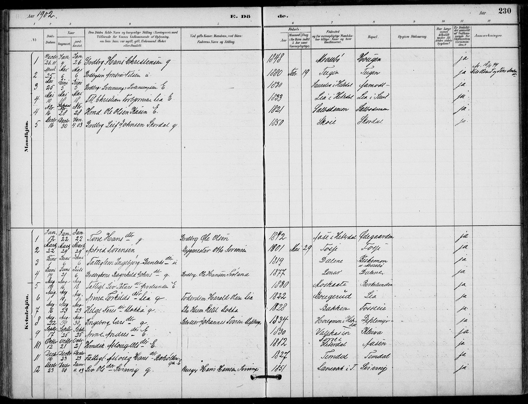 Hjartdal kirkebøker, SAKO/A-270/F/Fb/L0002: Parish register (official) no. II 2, 1880-1932, p. 230
