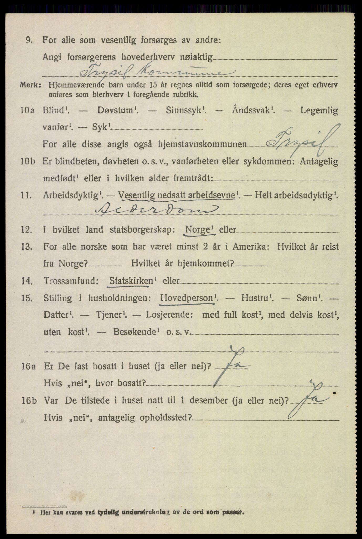 SAH, 1920 census for Trysil, 1920, p. 12606