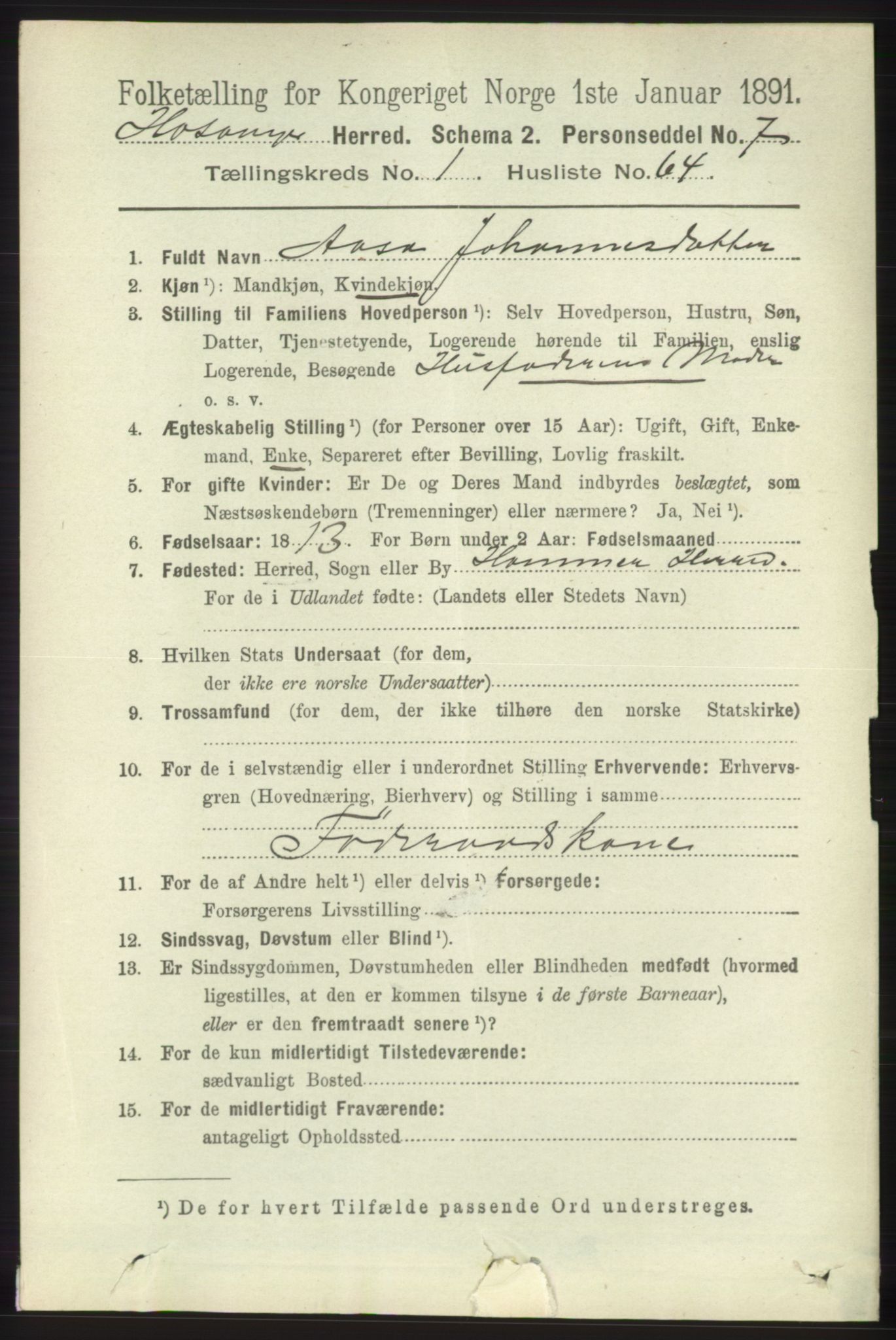 RA, 1891 census for 1253 Hosanger, 1891, p. 510