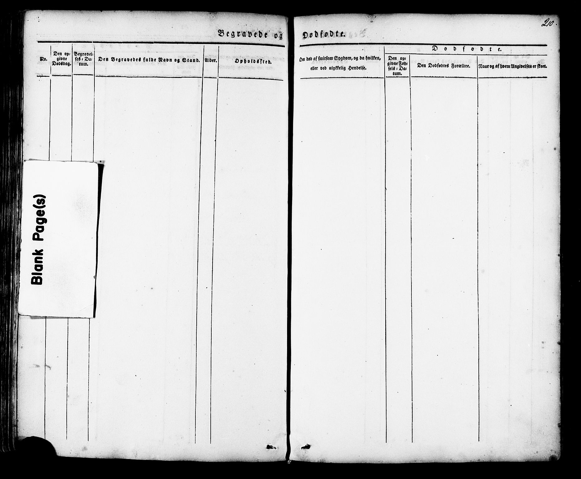 Ministerialprotokoller, klokkerbøker og fødselsregistre - Møre og Romsdal, AV/SAT-A-1454/513/L0174: Parish register (official) no. 513A01, 1831-1855, p. 210