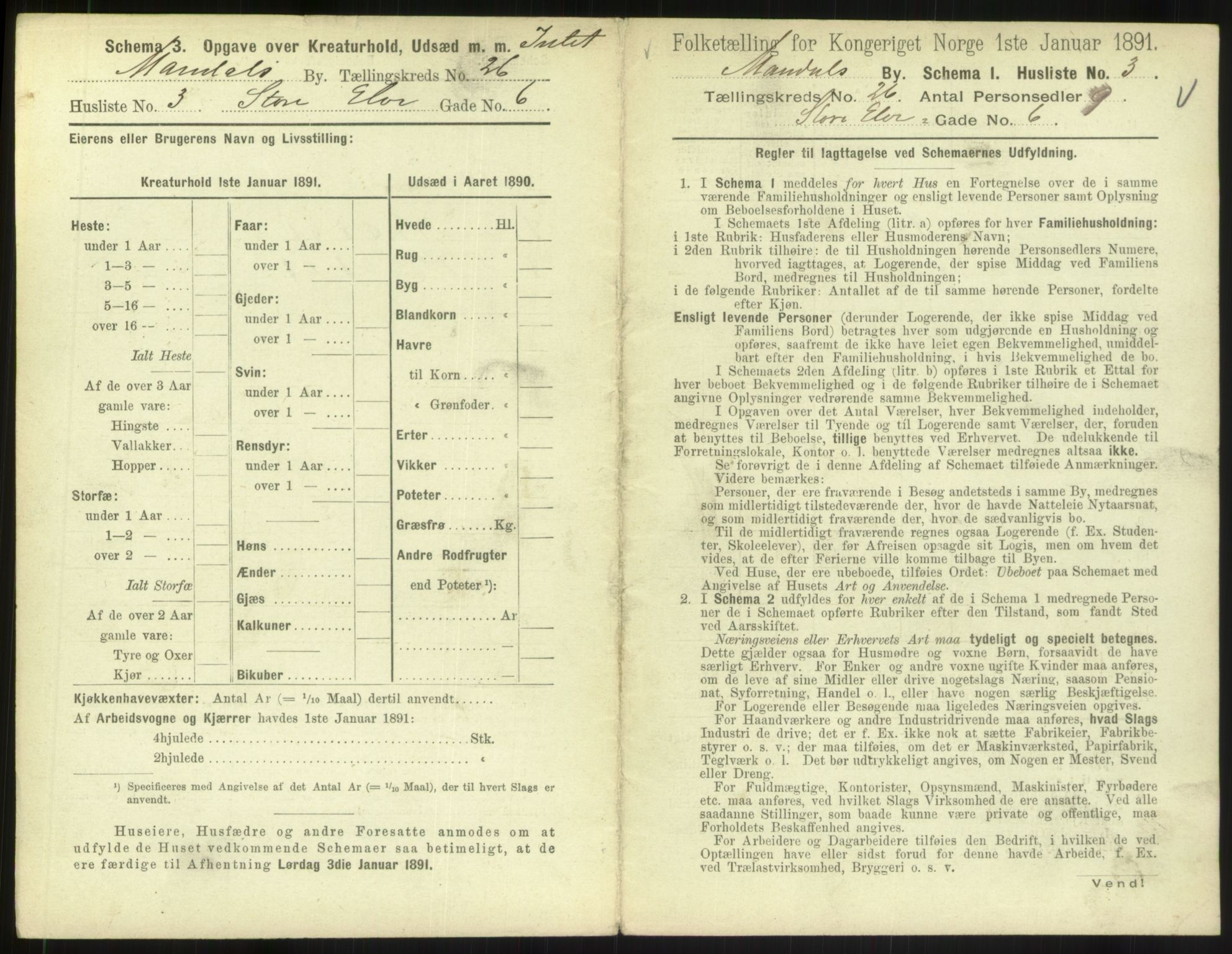 RA, 1891 census for 1002 Mandal, 1891, p. 1153