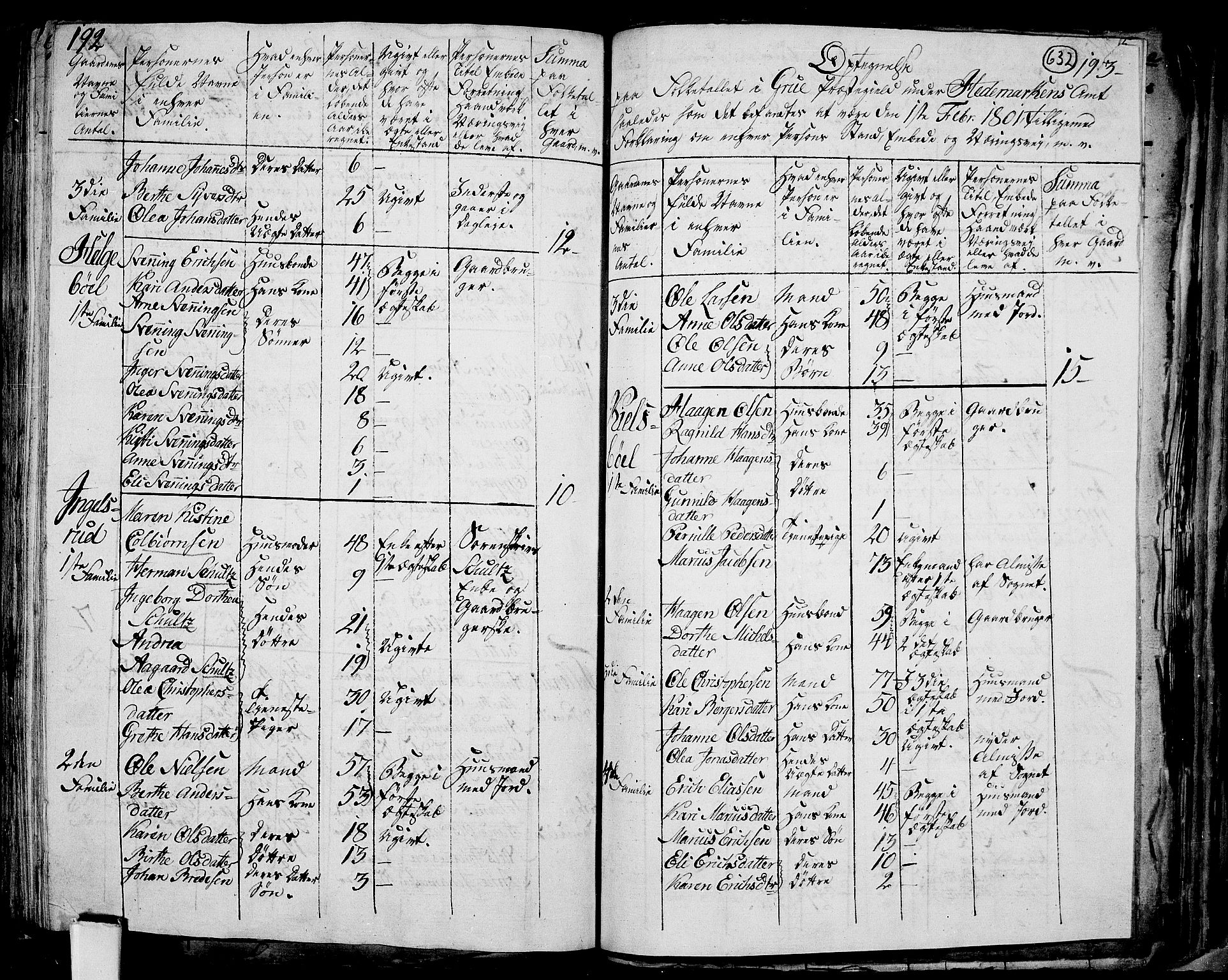 RA, 1801 census for 0423P Grue, 1801, p. 631b-632a