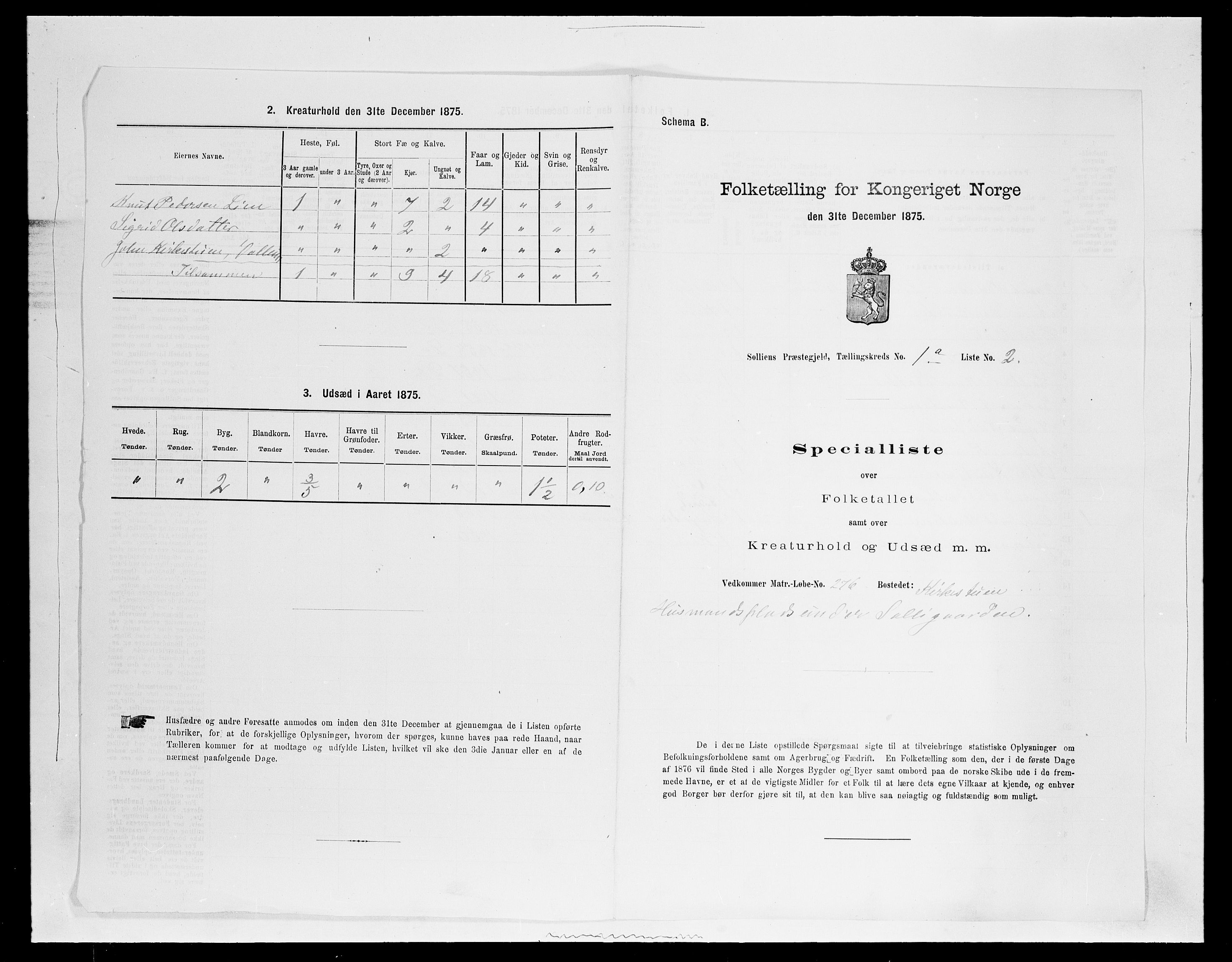 SAH, 1875 census for 0431P Sollia, 1875, p. 25