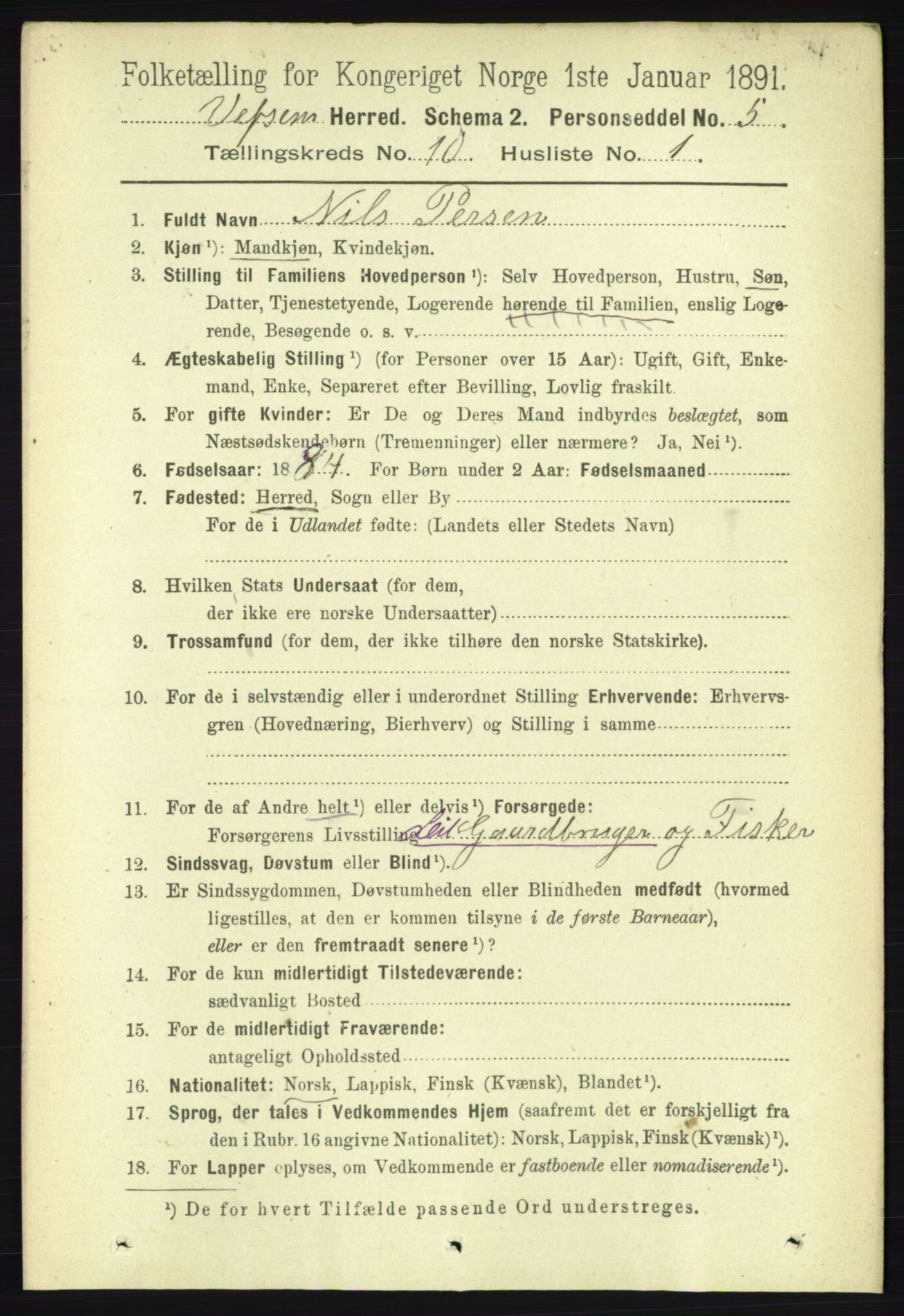 RA, 1891 census for 1824 Vefsn, 1891, p. 5197