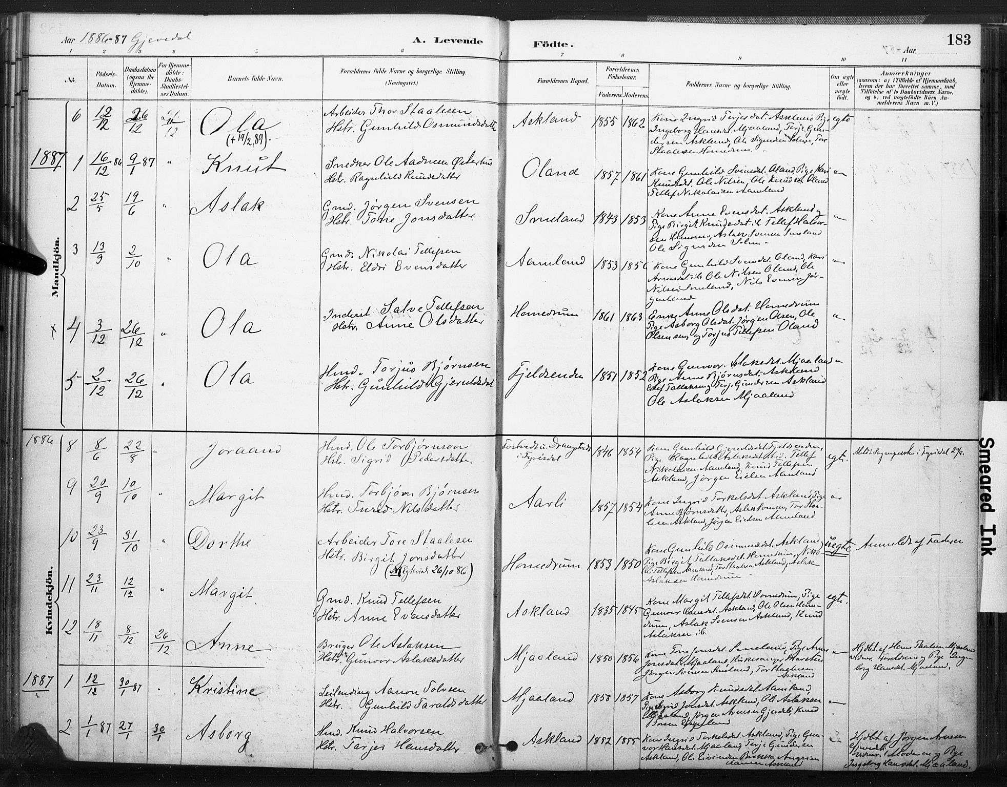 Åmli sokneprestkontor, SAK/1111-0050/F/Fa/Fac/L0010: Parish register (official) no. A 10 /2, 1885-1899, p. 183