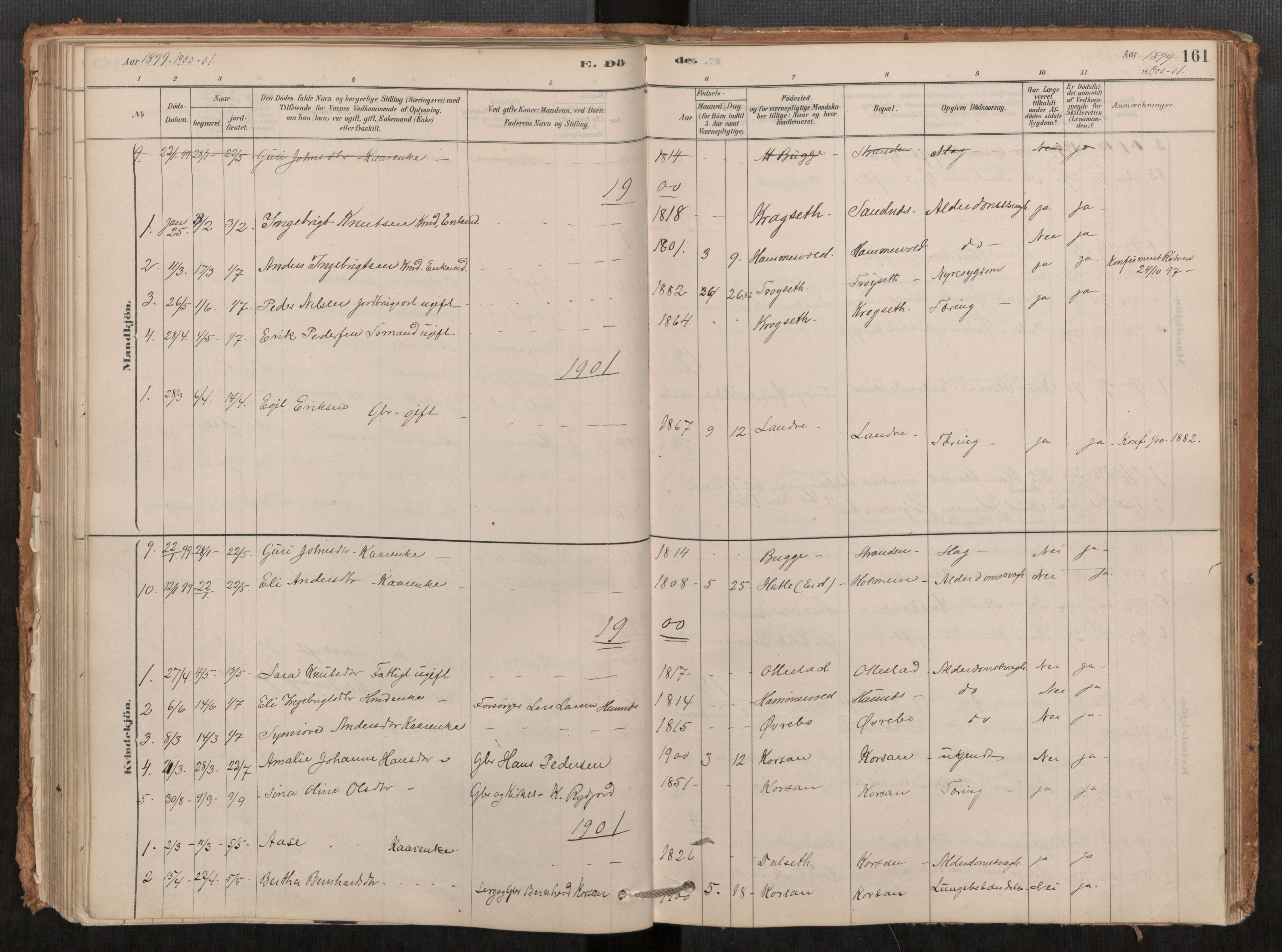 Ministerialprotokoller, klokkerbøker og fødselsregistre - Møre og Romsdal, SAT/A-1454/548/L0615: Parish register (official) no. 548A02, 1878-1906, p. 161