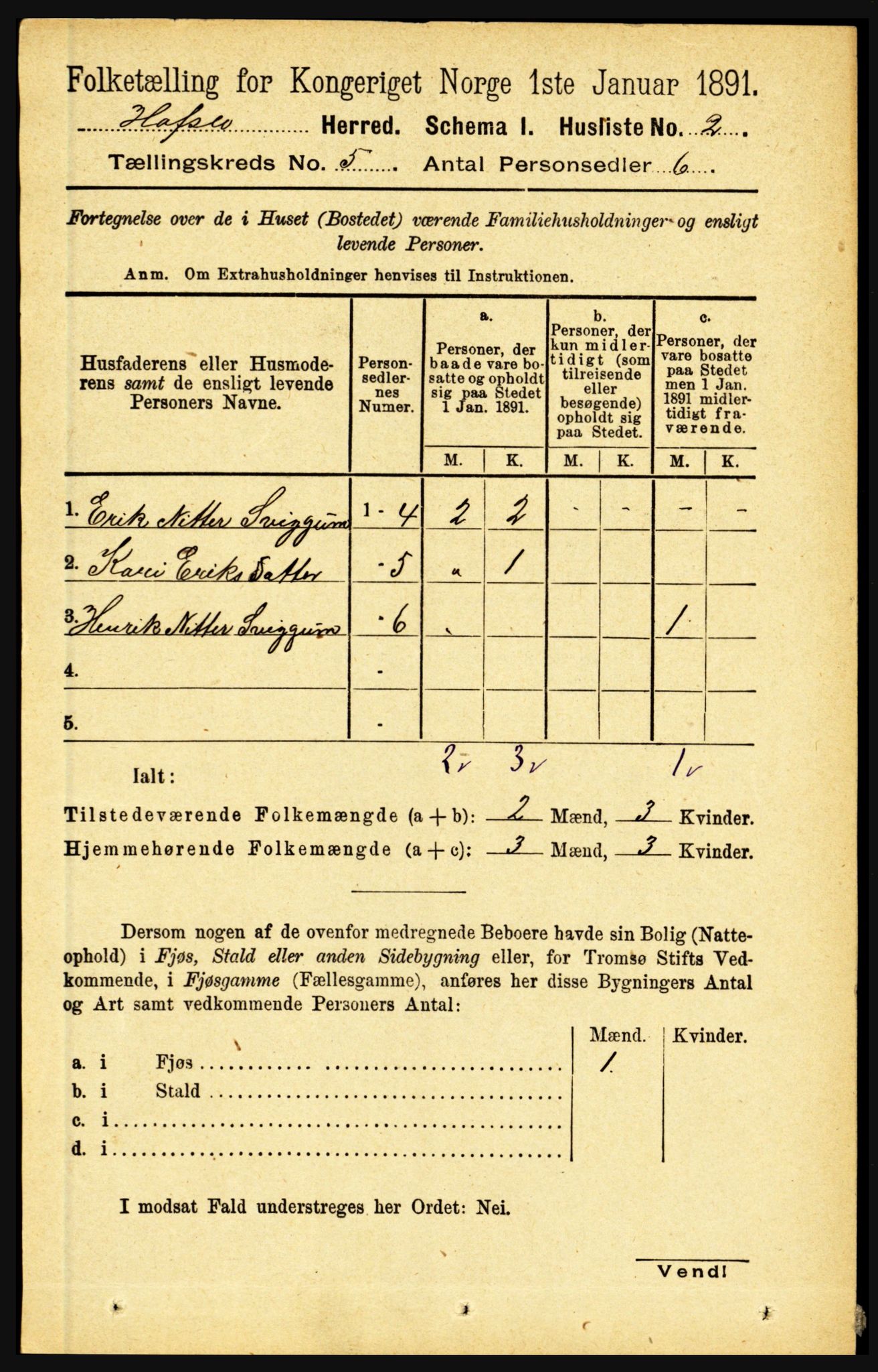 RA, 1891 census for 1425 Hafslo, 1891, p. 1893