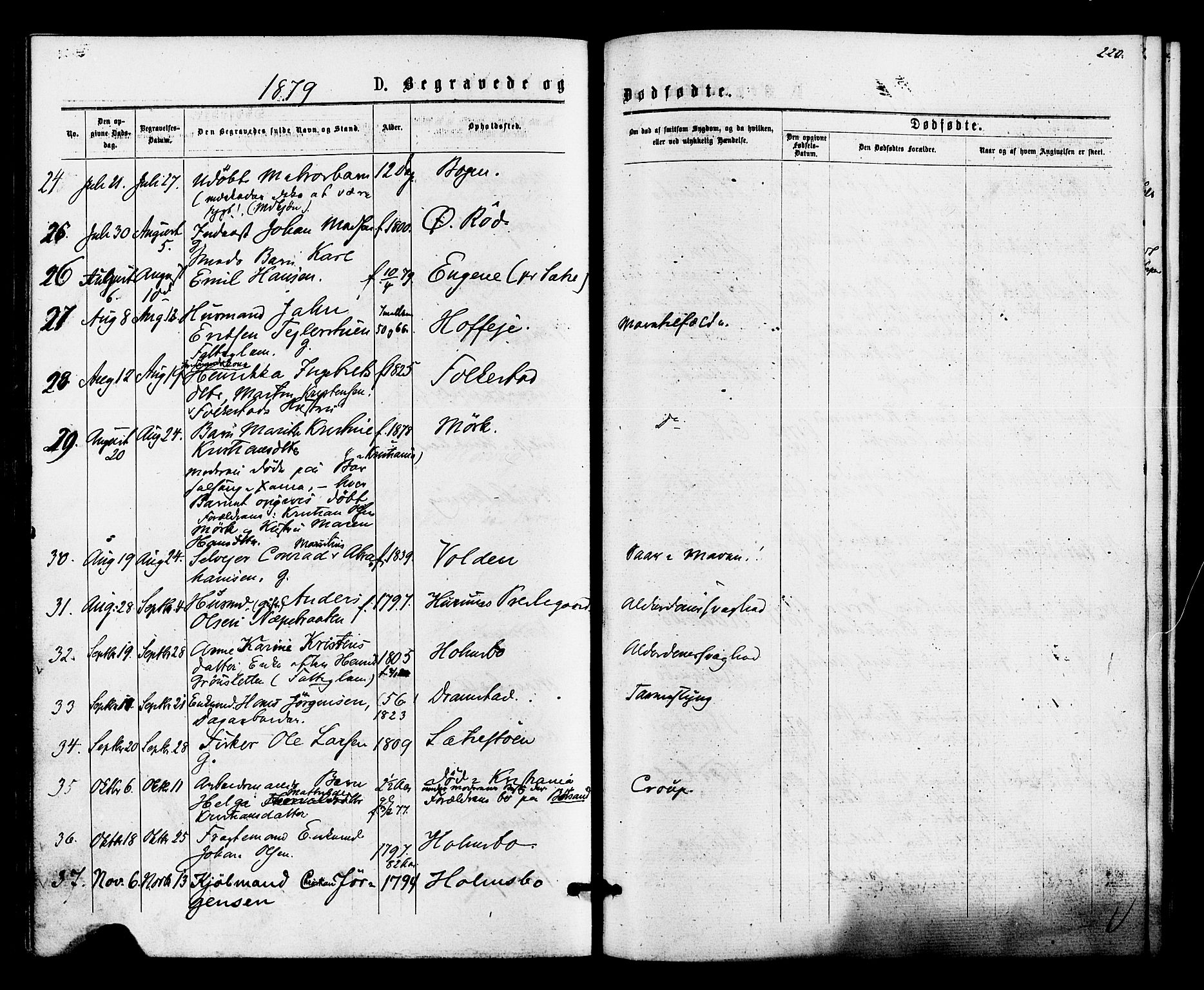 Hurum kirkebøker, AV/SAKO-A-229/F/Fa/L0013: Parish register (official) no. 13, 1876-1881, p. 220