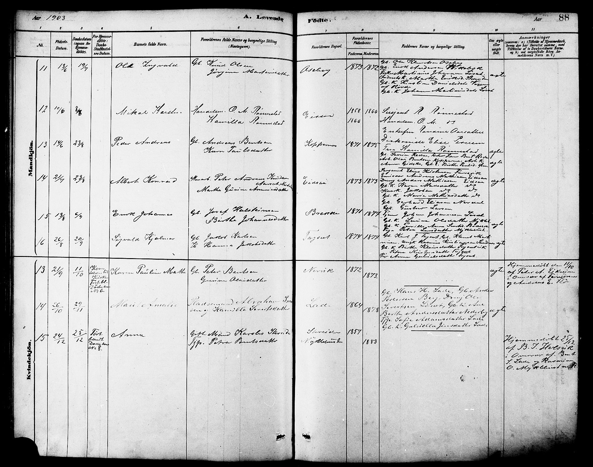 Ministerialprotokoller, klokkerbøker og fødselsregistre - Møre og Romsdal, AV/SAT-A-1454/502/L0027: Parish register (copy) no. 502C01, 1878-1908, p. 88