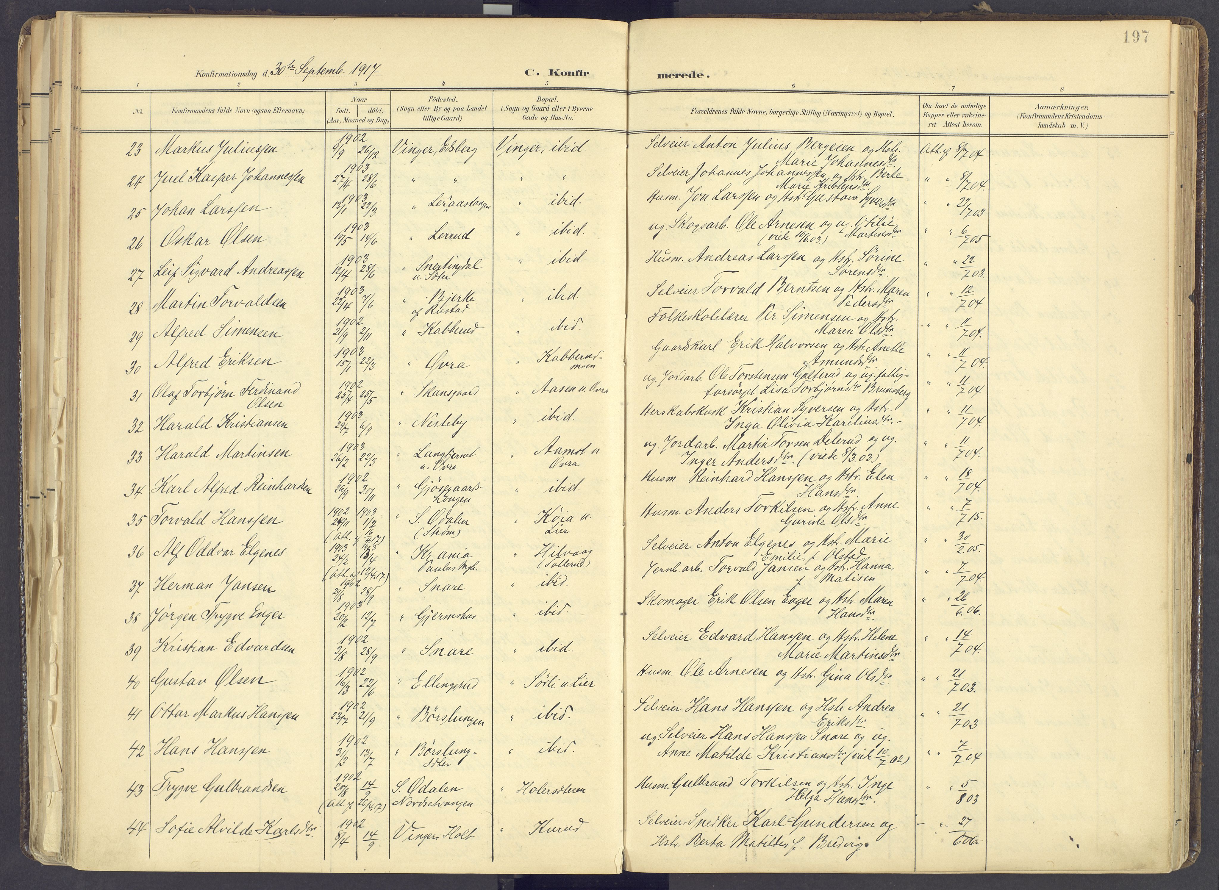 Vinger prestekontor, AV/SAH-PREST-024/H/Ha/Haa/L0017: Parish register (official) no. 17, 1901-1927, p. 197