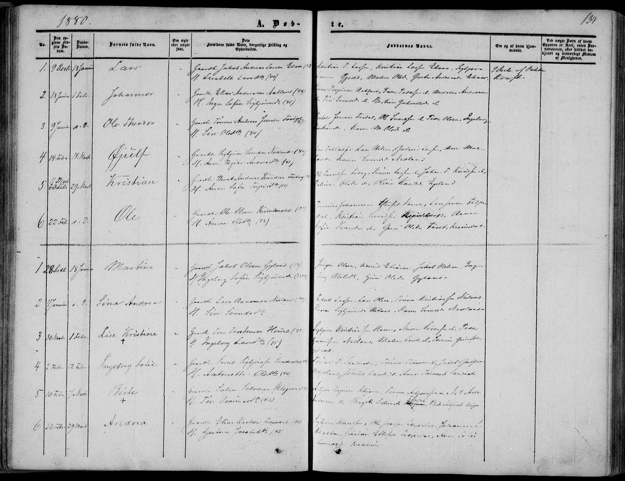 Bakke sokneprestkontor, SAK/1111-0002/F/Fa/Fab/L0002: Parish register (official) no. A 2, 1855-1884, p. 134