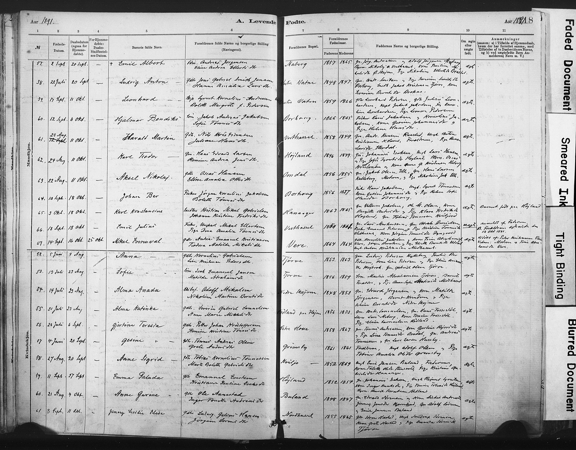 Lista sokneprestkontor, AV/SAK-1111-0027/F/Fa/L0012: Parish register (official) no. A 12, 1879-1903, p. 118