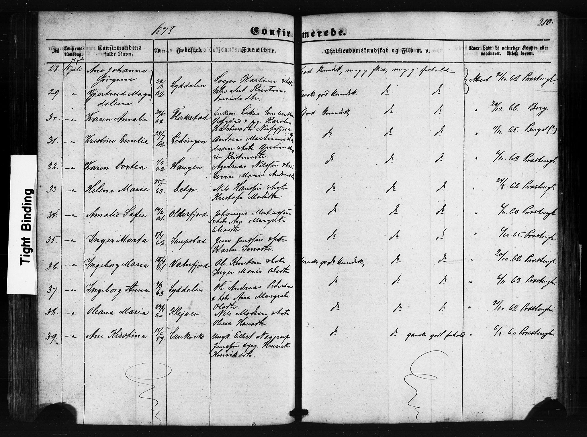 Ministerialprotokoller, klokkerbøker og fødselsregistre - Nordland, AV/SAT-A-1459/876/L1095: Parish register (official) no. 876A01, 1863-1885, p. 210