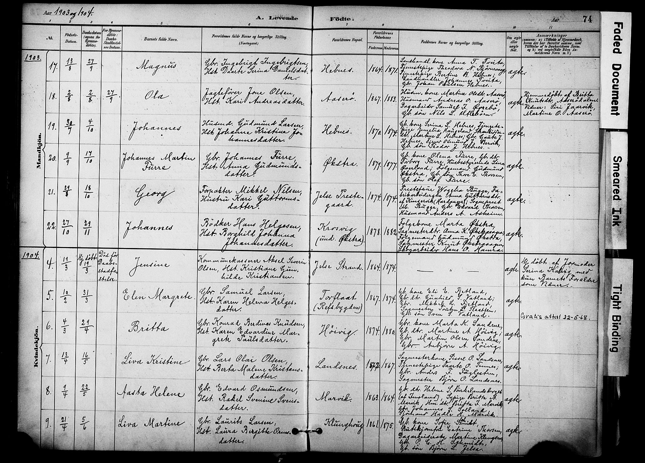 Jelsa sokneprestkontor, AV/SAST-A-101842/01/IV: Parish register (official) no. A 10, 1884-1906, p. 74