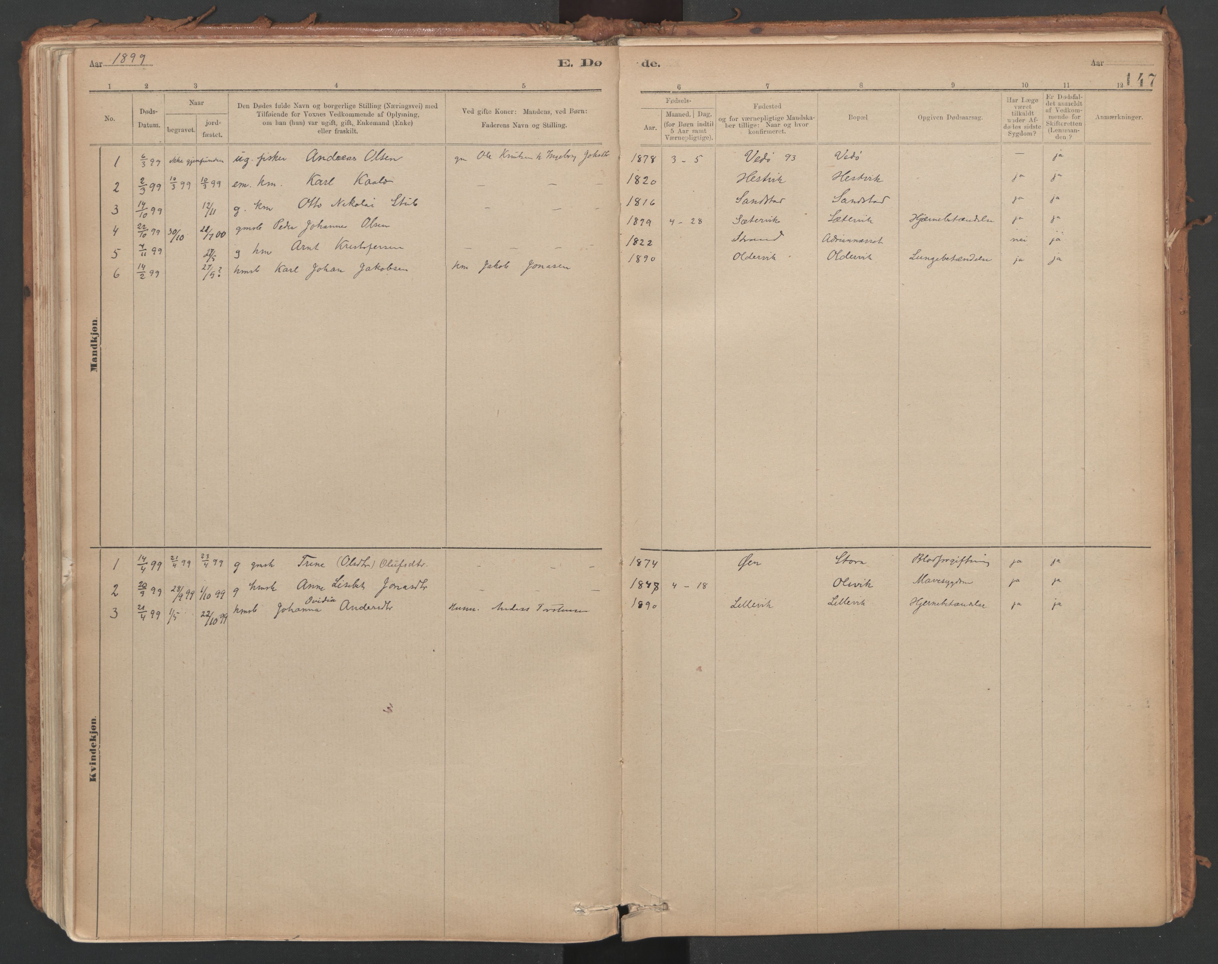 Ministerialprotokoller, klokkerbøker og fødselsregistre - Sør-Trøndelag, SAT/A-1456/639/L0572: Parish register (official) no. 639A01, 1890-1920, p. 147