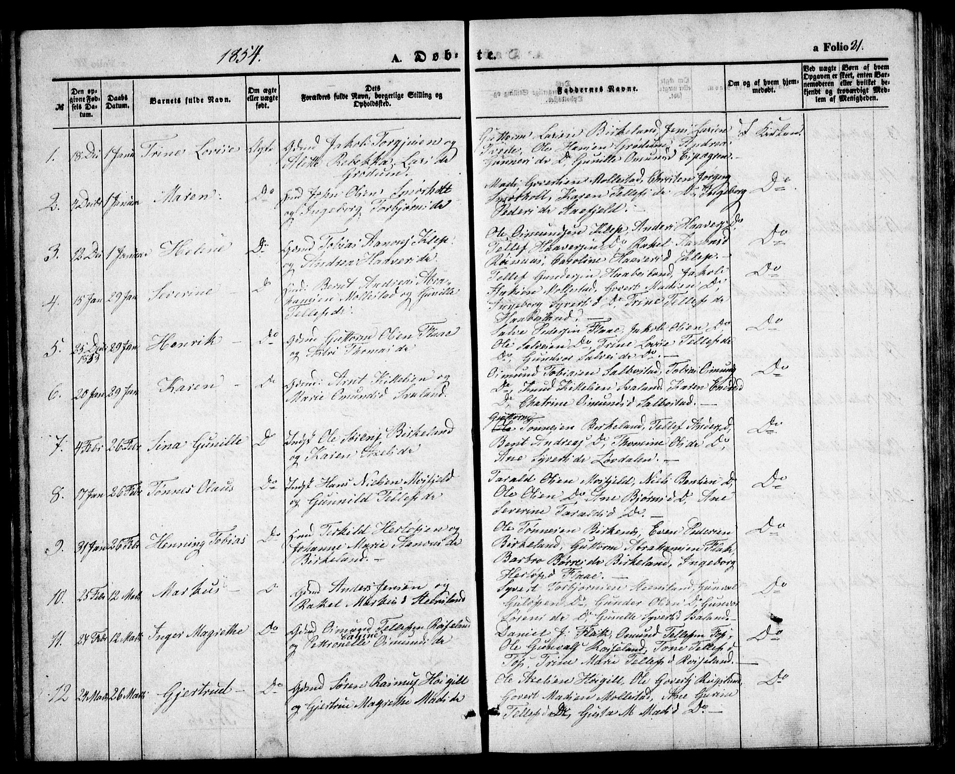 Birkenes sokneprestkontor, SAK/1111-0004/F/Fb/L0002: Parish register (copy) no. B 2, 1849-1876, p. 21
