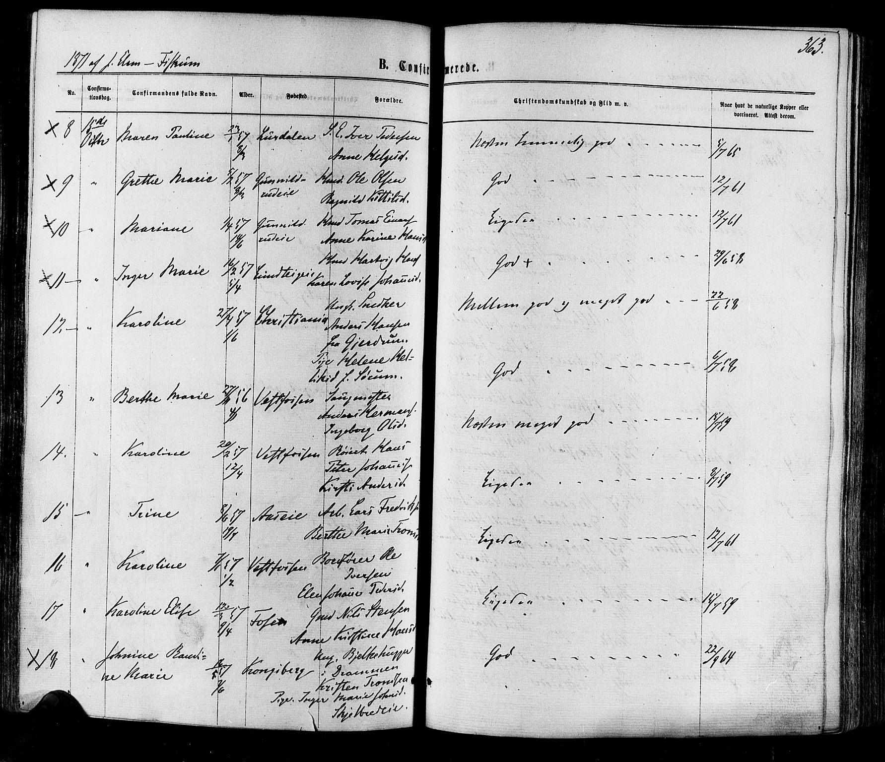 Eiker kirkebøker, SAKO/A-4/F/Fa/L0017: Parish register (official) no. I 17, 1869-1877, p. 363