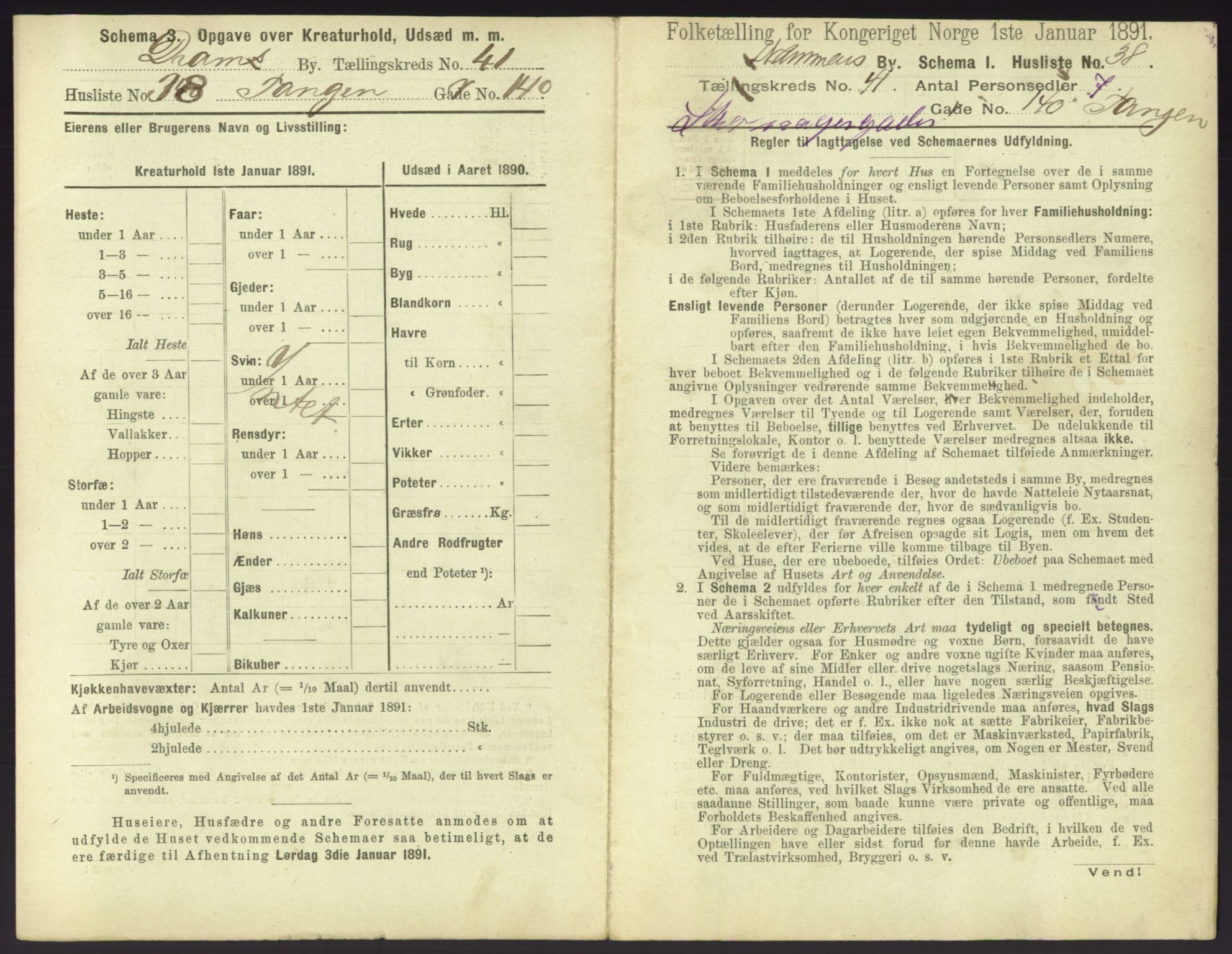 RA, 1891 census for 0602 Drammen, 1891, p. 3709