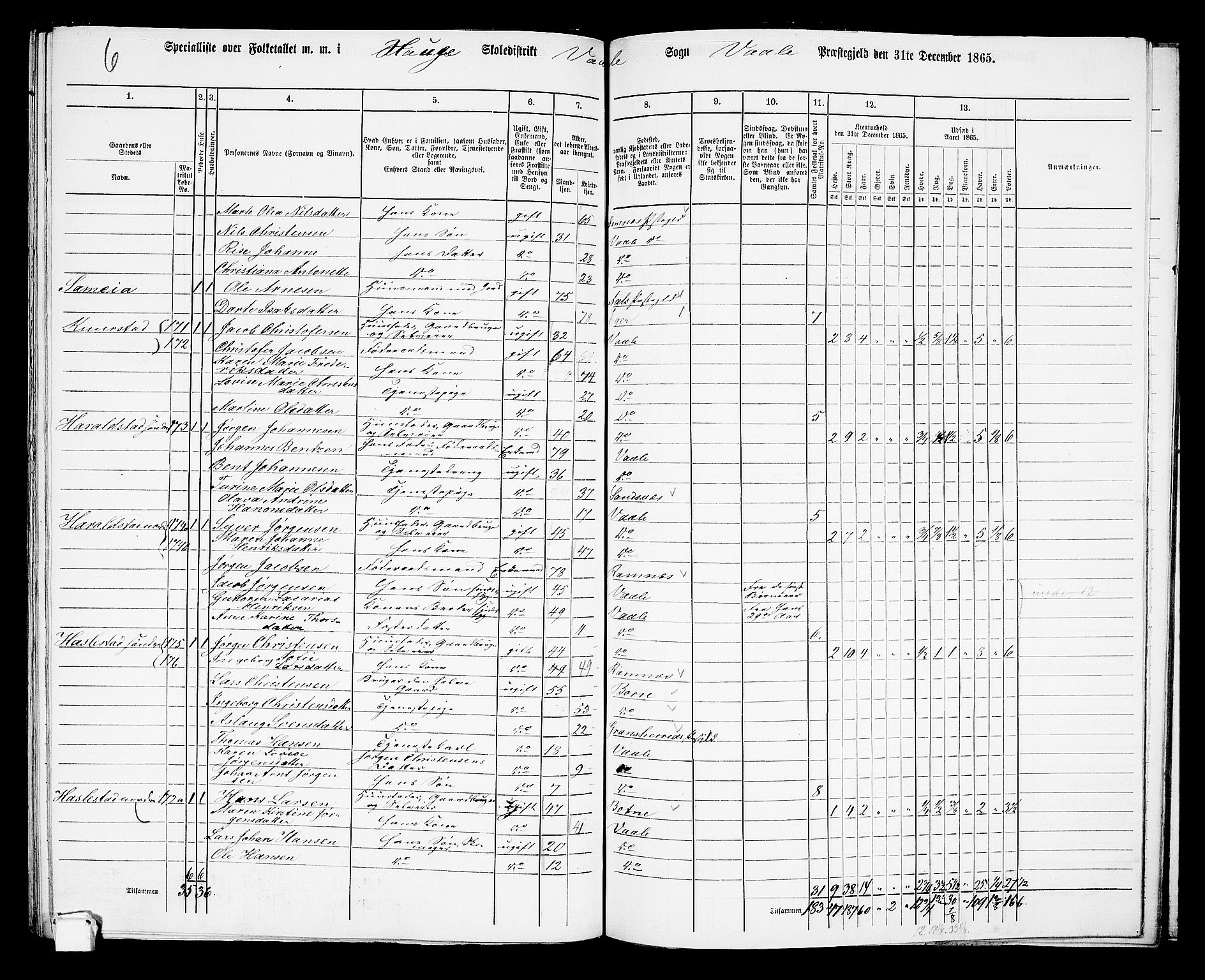 RA, 1865 census for Våle, 1865, p. 64