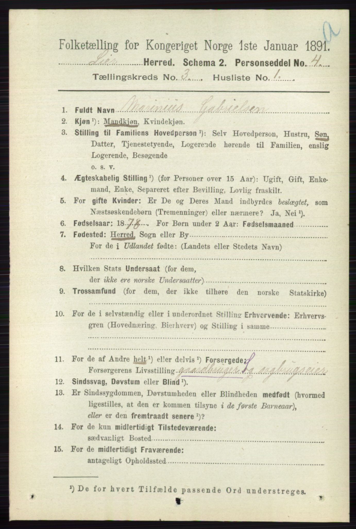 RA, 1891 census for 0626 Lier, 1891, p. 2497