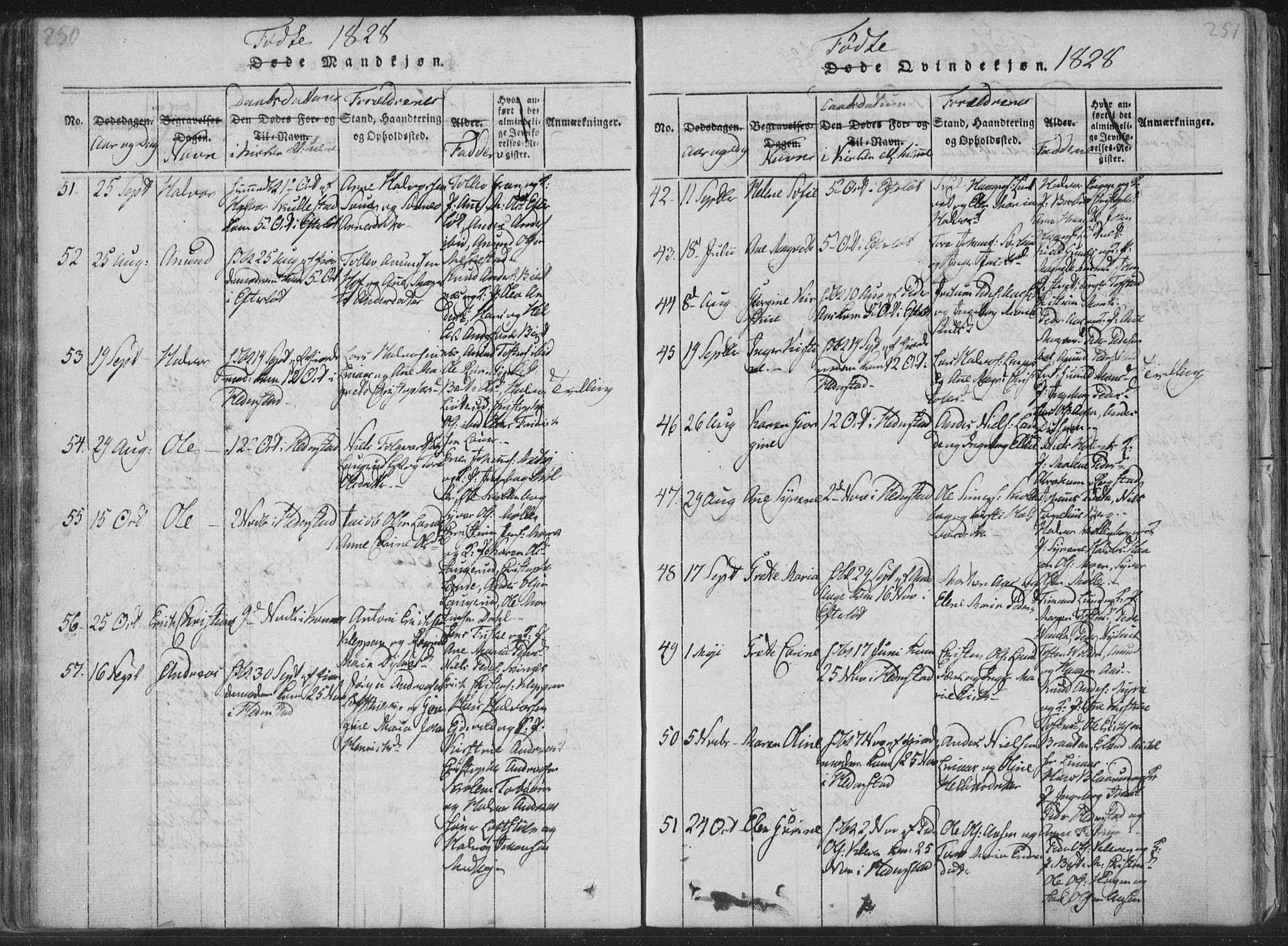 Sandsvær kirkebøker, AV/SAKO-A-244/F/Fa/L0004: Parish register (official) no. I 4, 1817-1839, p. 250-251