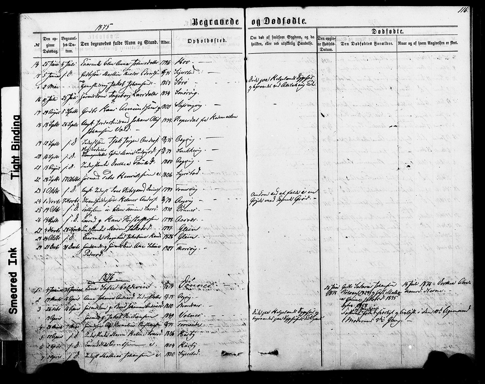 Ministerialprotokoller, klokkerbøker og fødselsregistre - Nordland, SAT/A-1459/835/L0524: Parish register (official) no. 835A02, 1865-1880, p. 116