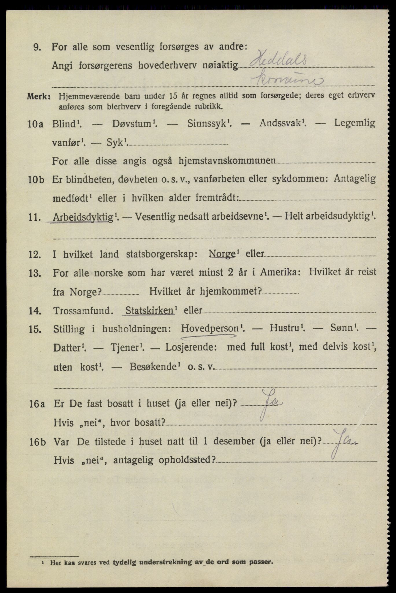 SAKO, 1920 census for Heddal, 1920, p. 6575