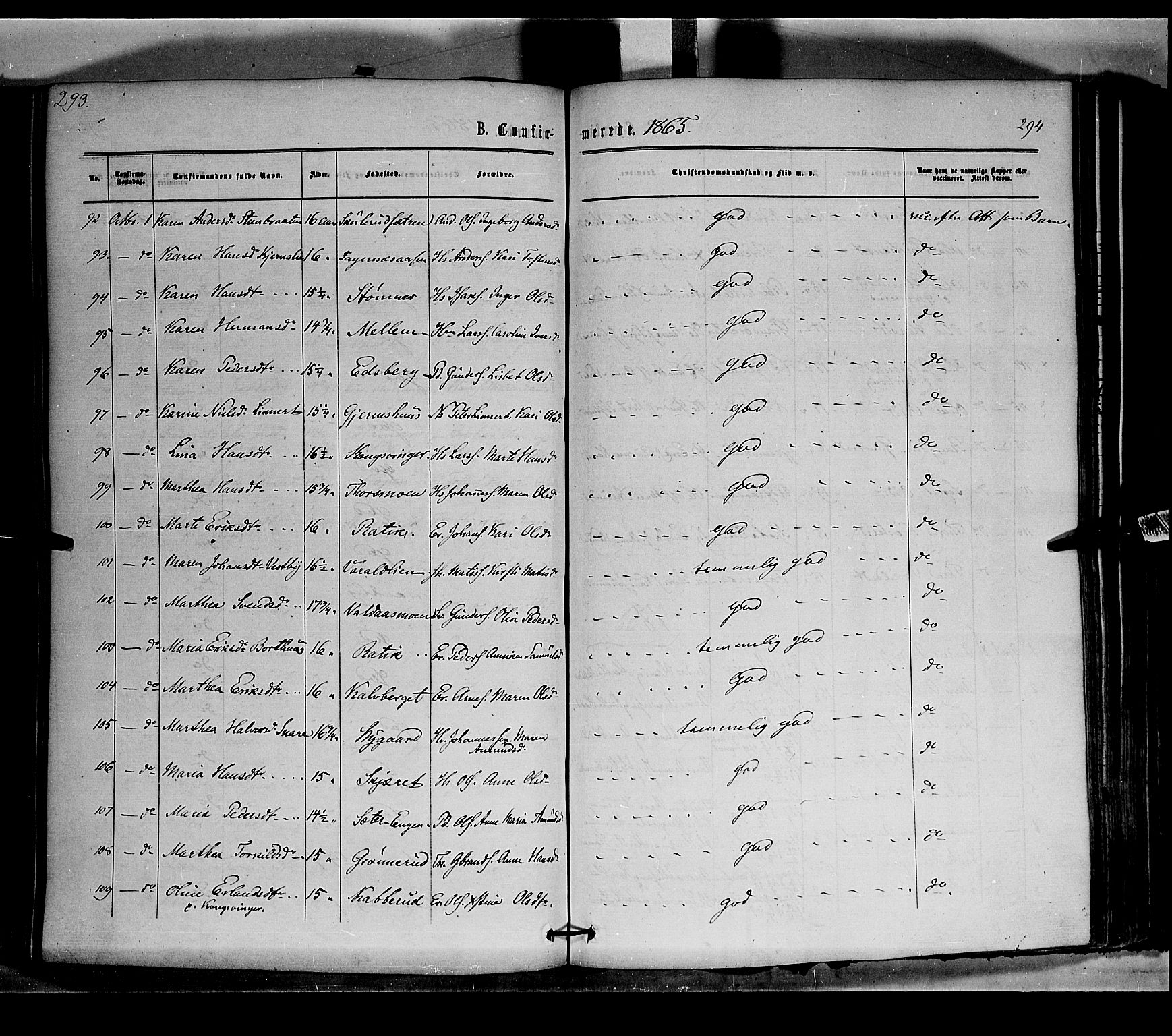 Vinger prestekontor, AV/SAH-PREST-024/H/Ha/Haa/L0011: Parish register (official) no. 11, 1862-1870, p. 294