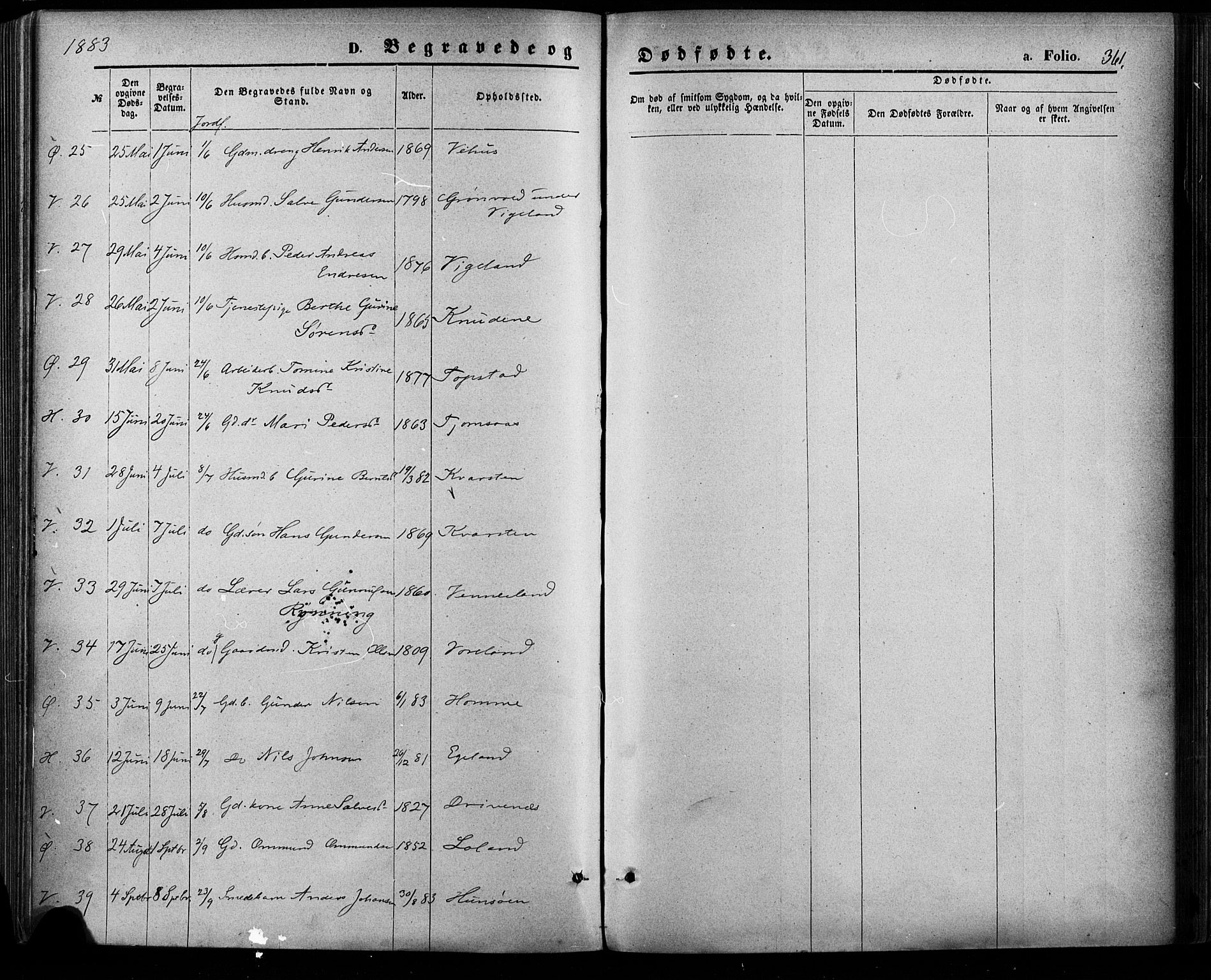 Vennesla sokneprestkontor, AV/SAK-1111-0045/Fa/Fac/L0008: Parish register (official) no. A 8, 1874-1883, p. 361