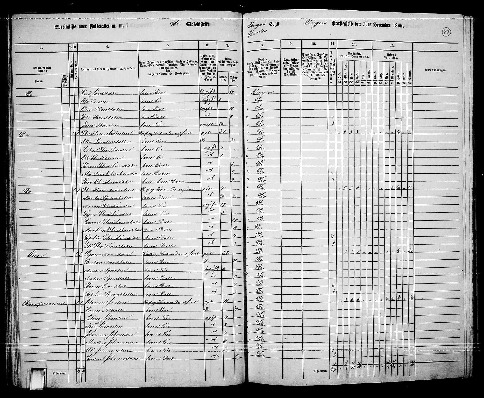 RA, 1865 census for Vinger/Vinger og Austmarka, 1865, p. 46