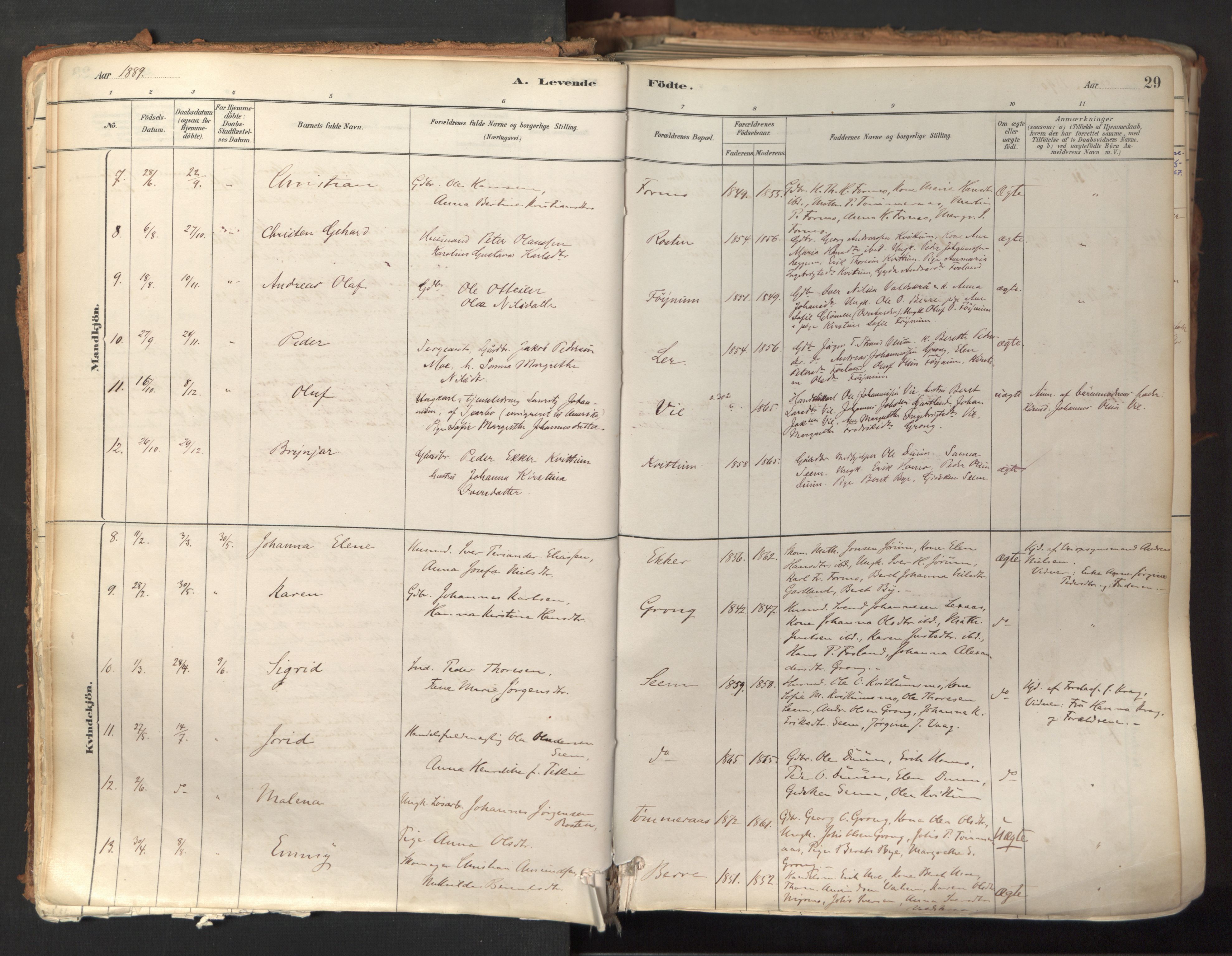 Ministerialprotokoller, klokkerbøker og fødselsregistre - Nord-Trøndelag, AV/SAT-A-1458/758/L0519: Parish register (official) no. 758A04, 1880-1926, p. 29