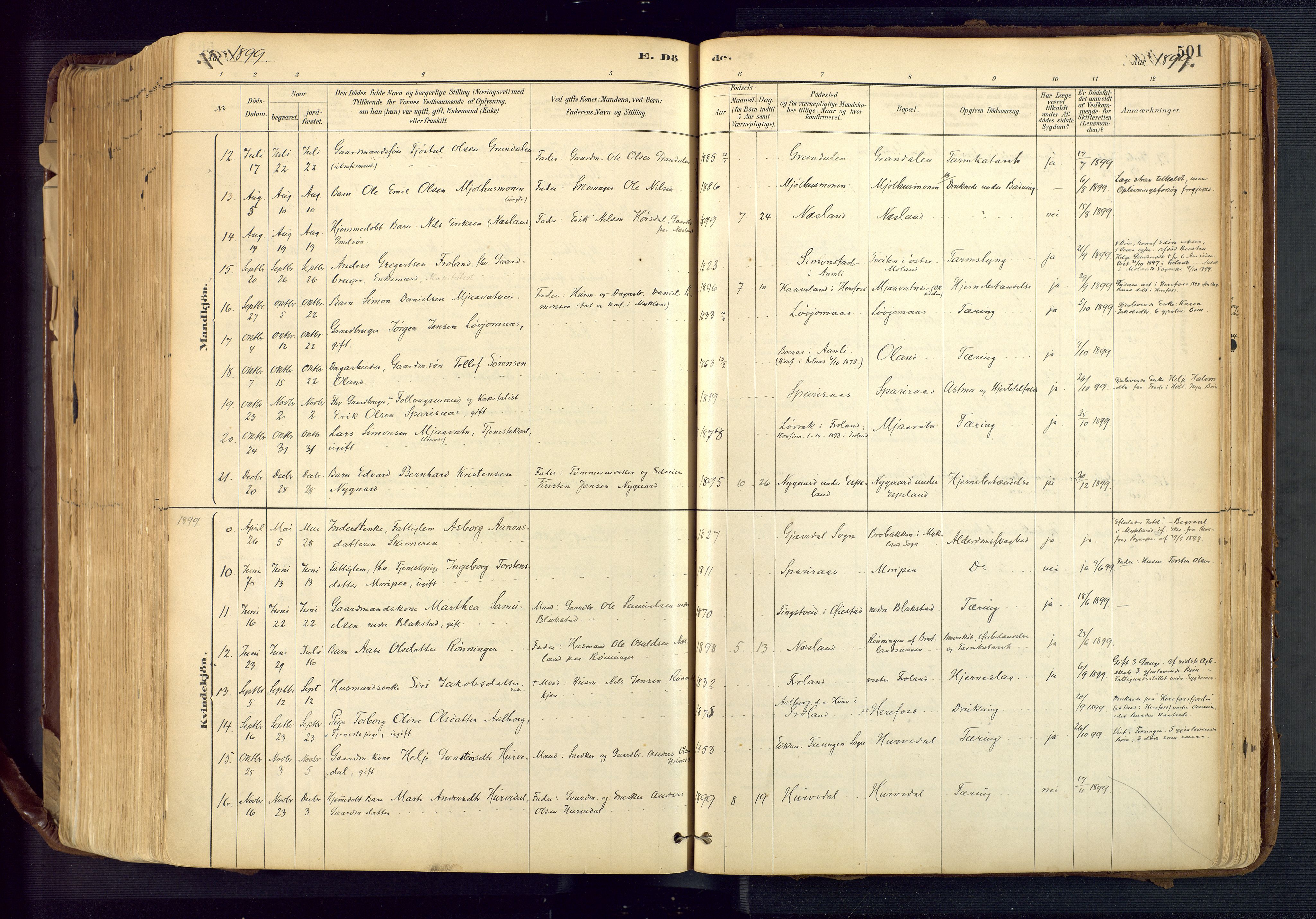 Froland sokneprestkontor, SAK/1111-0013/F/Fa/L0005: Parish register (official) no. A 5, 1882-1921, p. 501