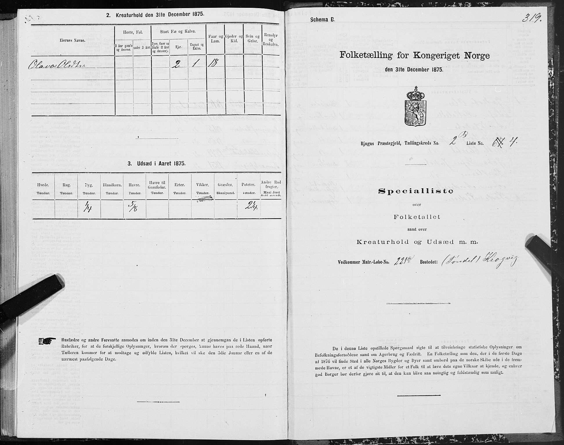 SAT, 1875 census for 1627P Bjugn, 1875, p. 1319