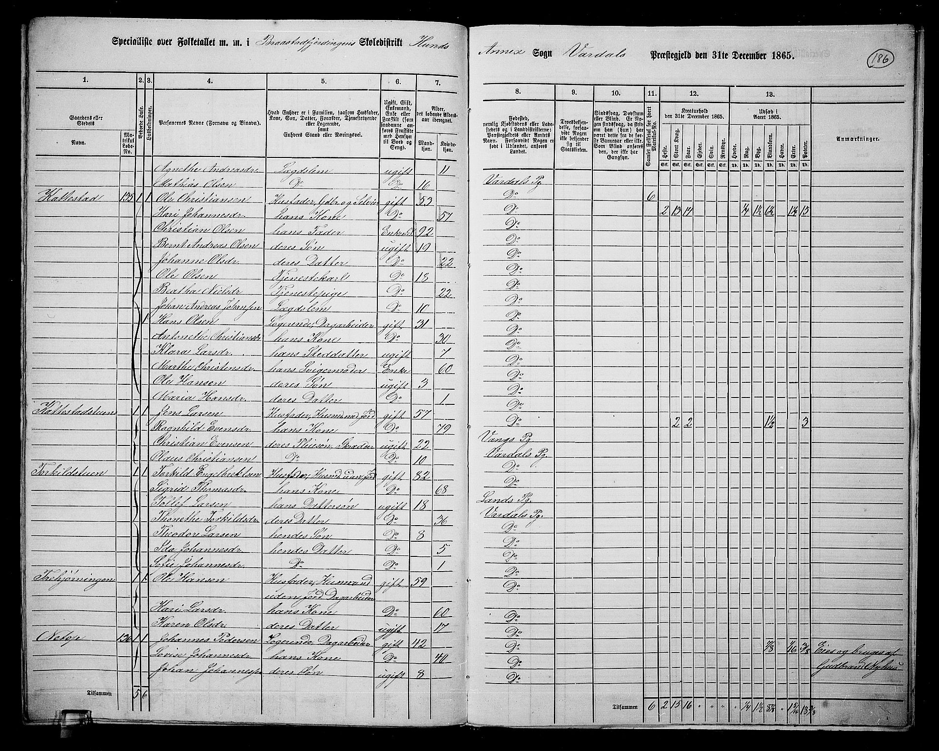 RA, 1865 census for Vardal/Vardal og Hunn, 1865, p. 165